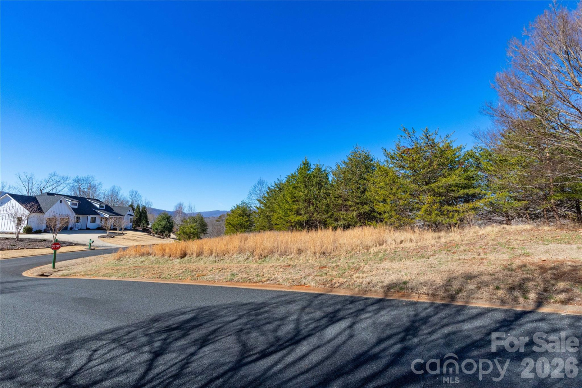 Lot 50 & 50A Mountain Parkway #50, 50A - Photo 15