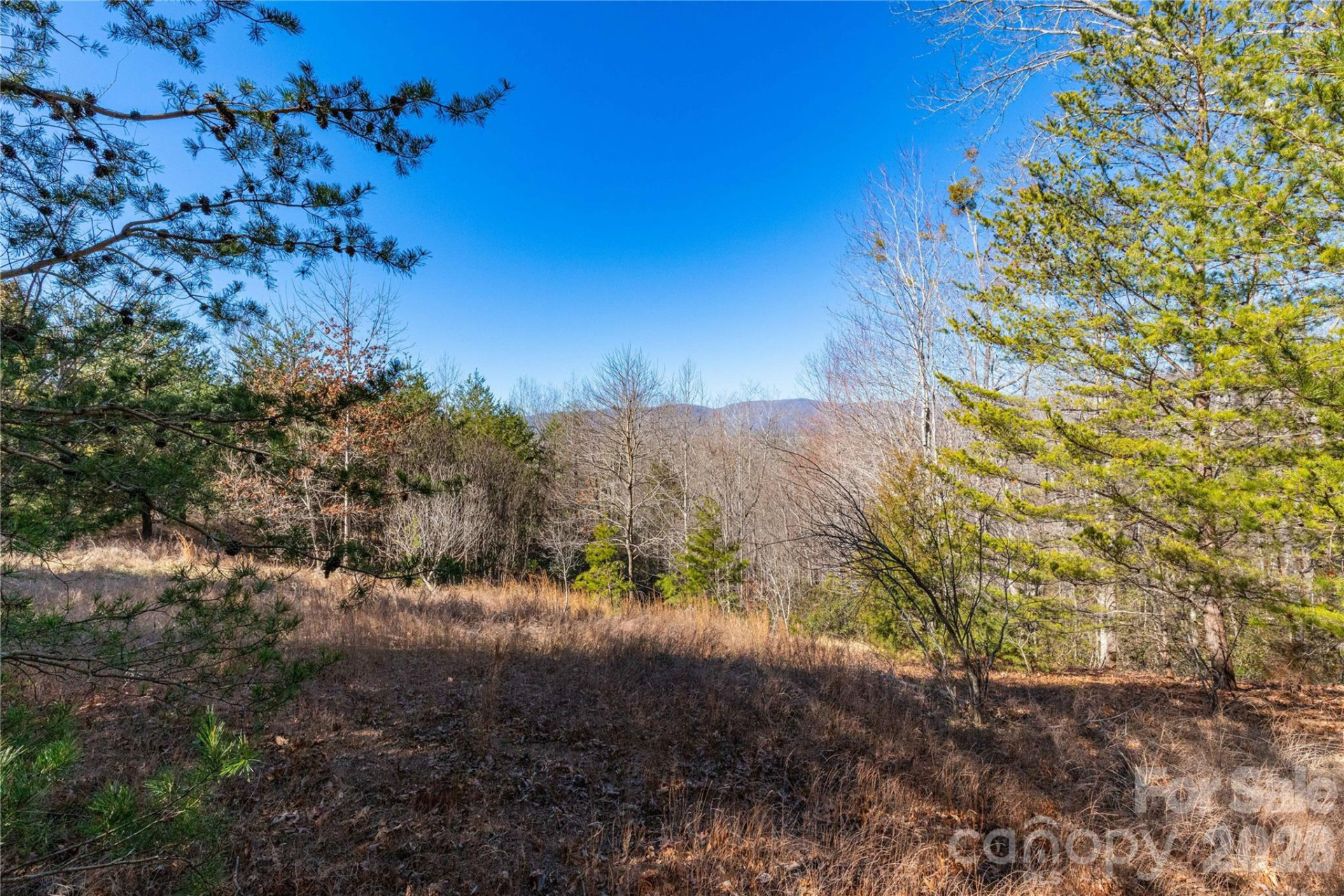 Lot 50 & 50A Mountain Parkway #50, 50A - Photo 16