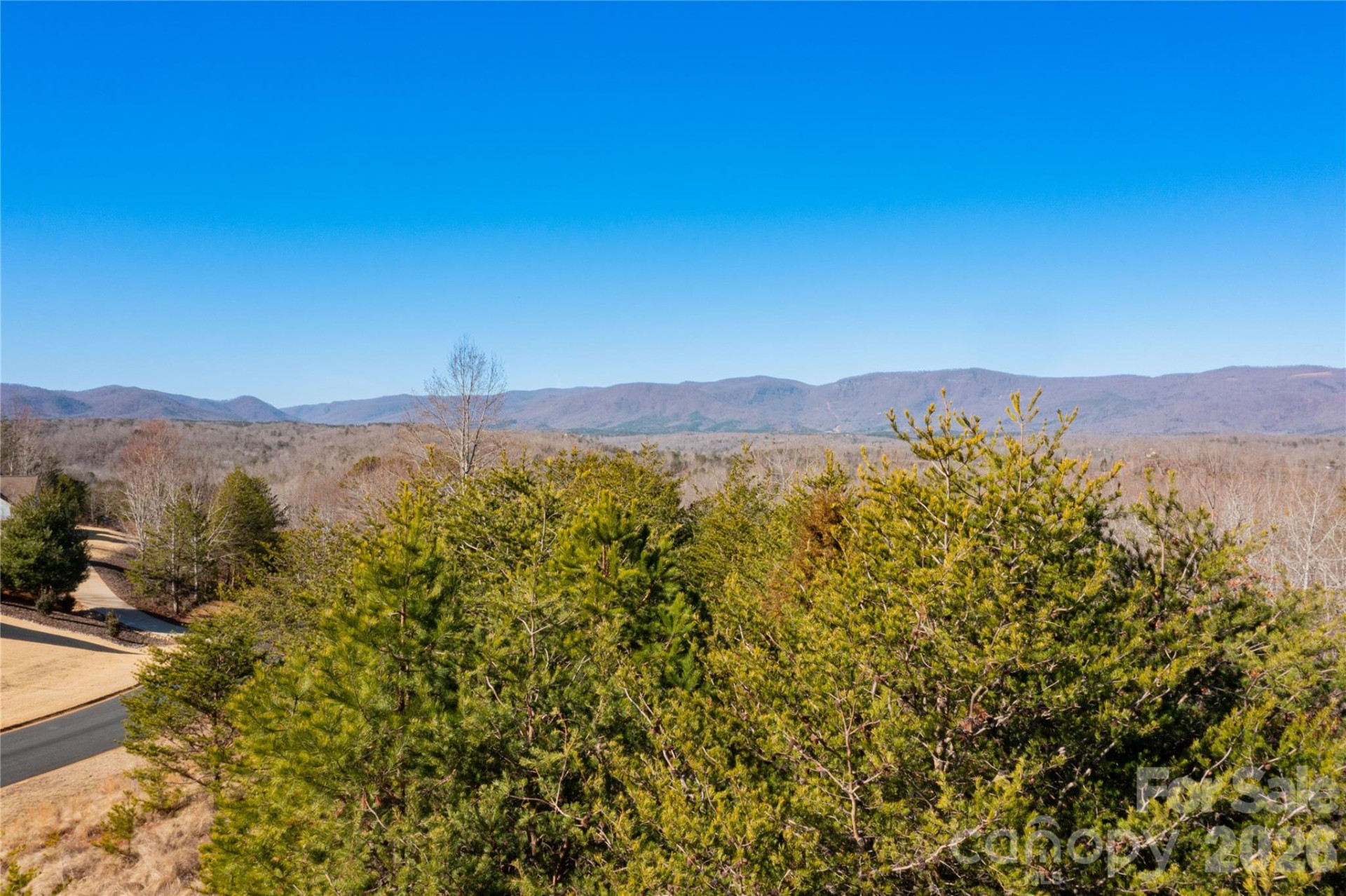 Lot 50 & 50A Mountain Parkway #50, 50A - Photo 17