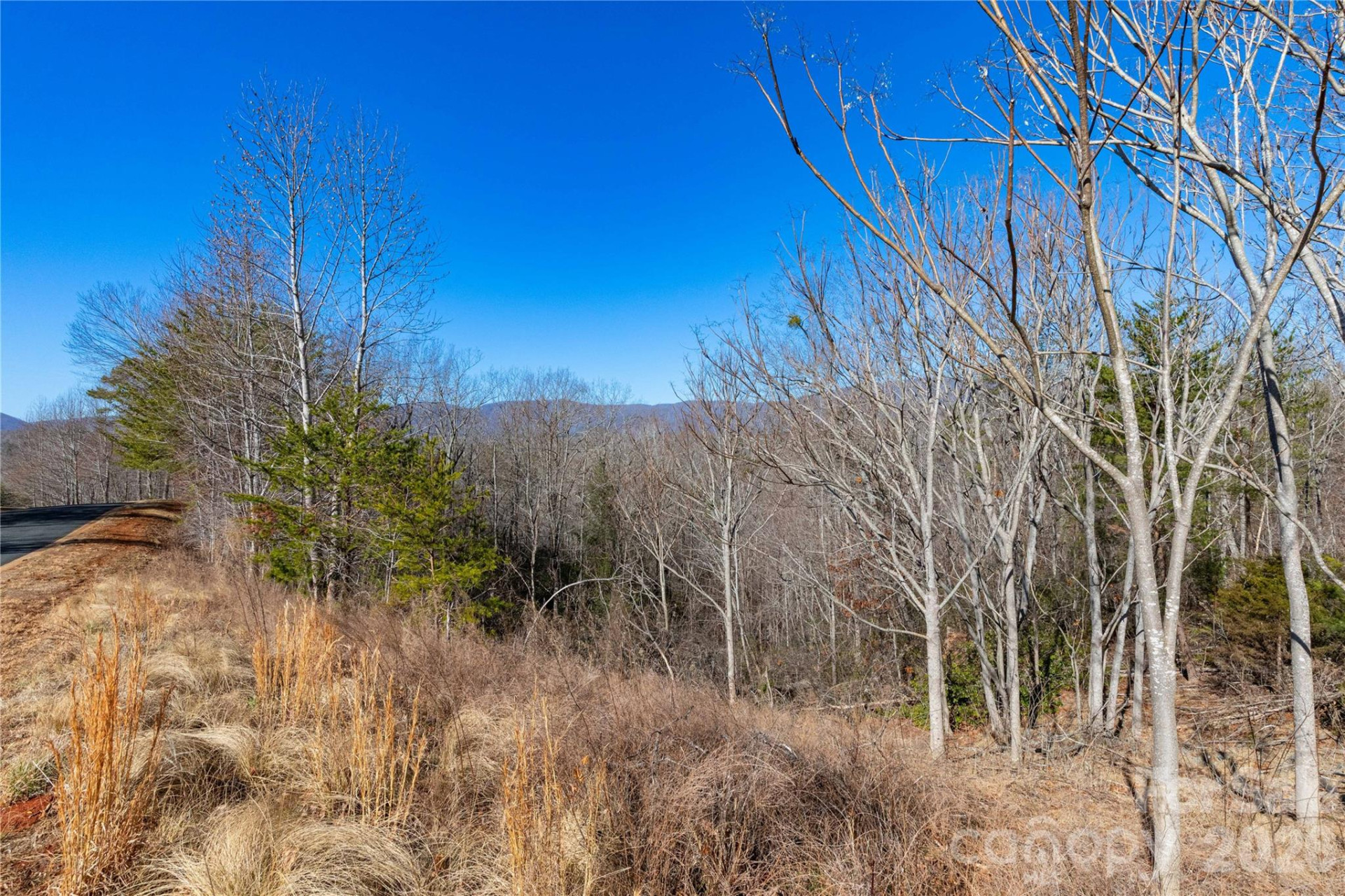 Lot 50 & 50A Mountain Parkway #50, 50A - Photo 18