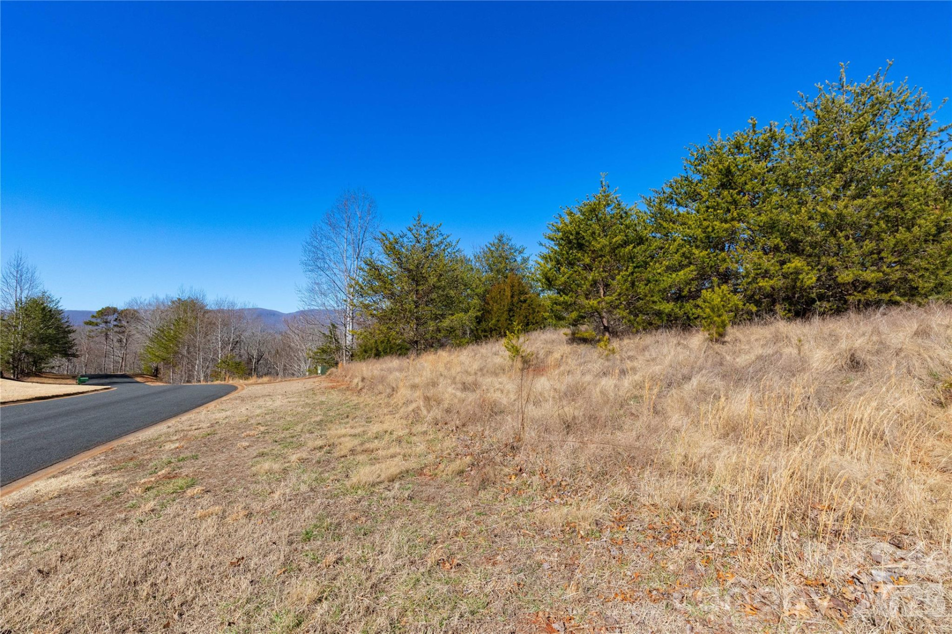 Lot 50 & 50A Mountain Parkway #50, 50A - Photo 19
