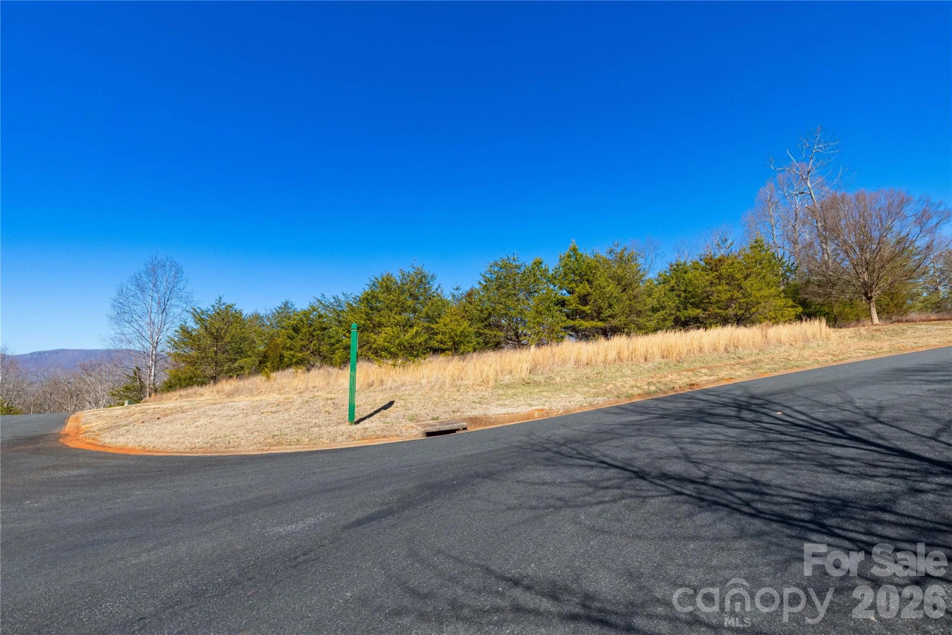 Lot 50 & 50A Mountain Parkway #50, 50A - Photo 20