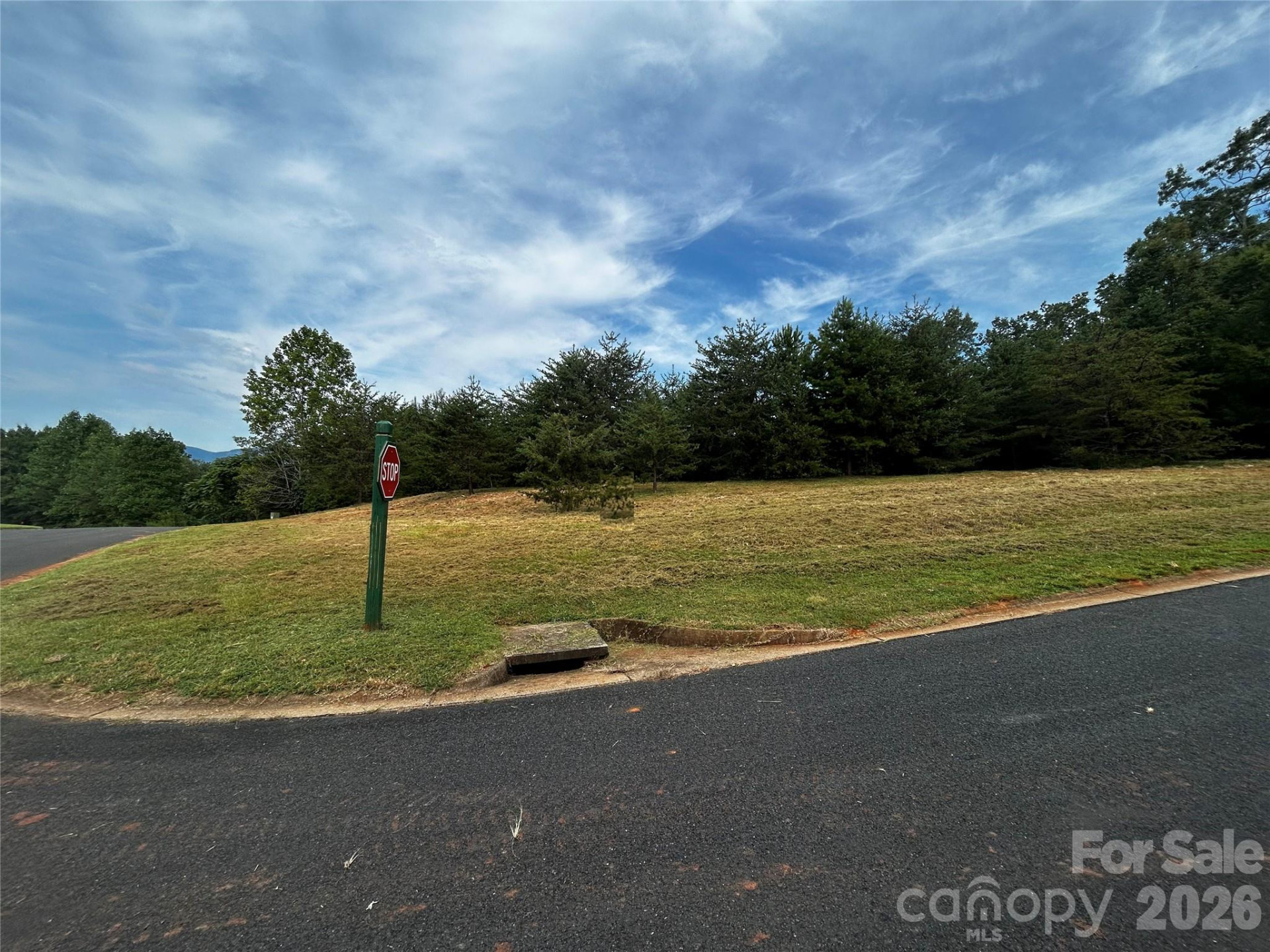 Lot 50 & 50A Mountain Parkway #50, 50A - Photo 5