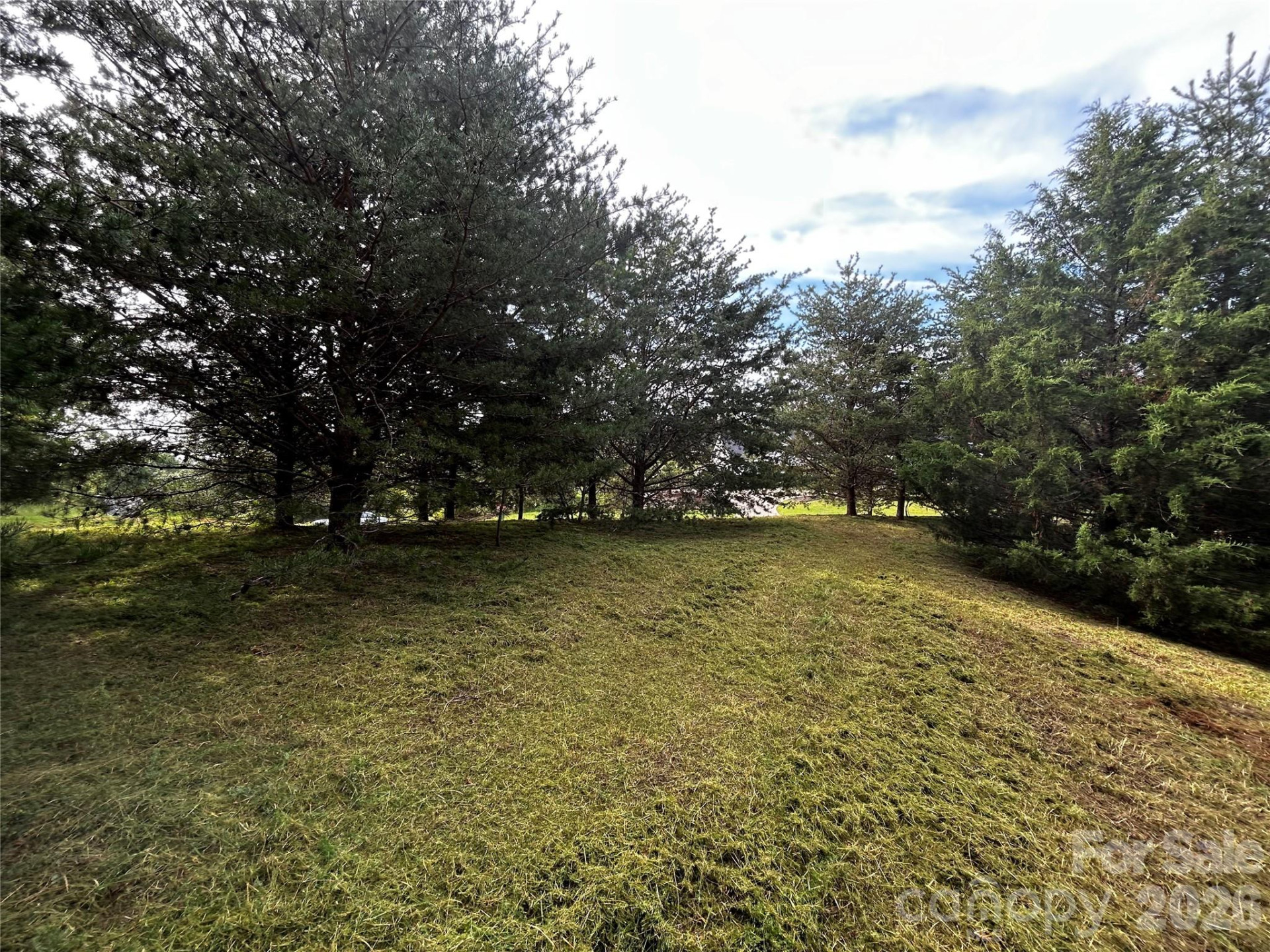 Lot 50 & 50A Mountain Parkway #50, 50A - Photo 6