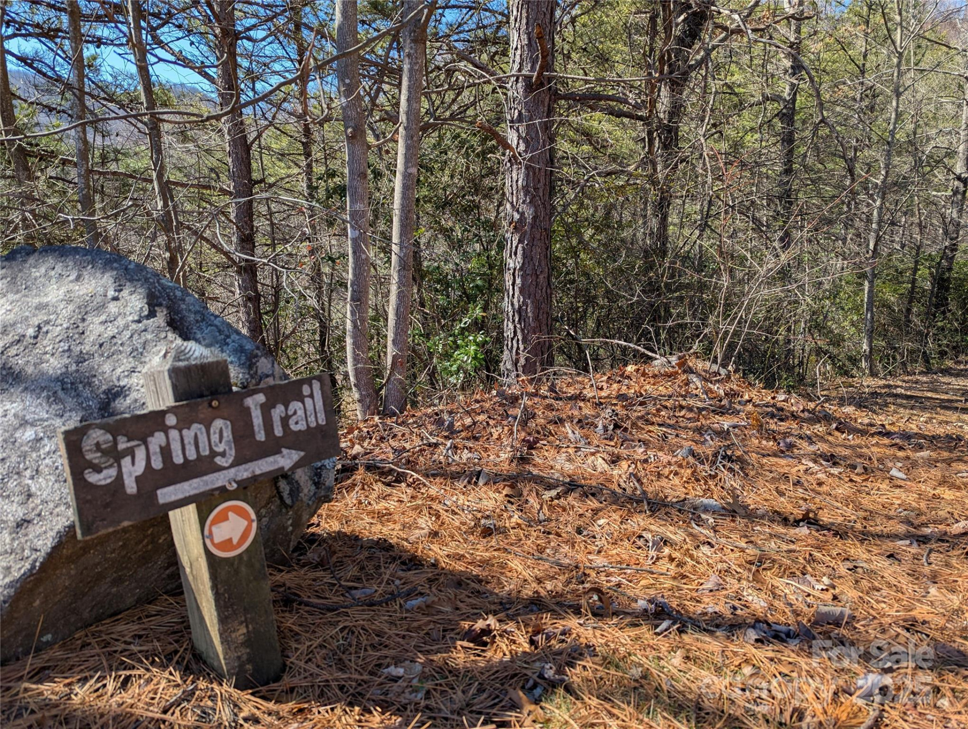 94 Trillium Lane #C-2 - Photo 11