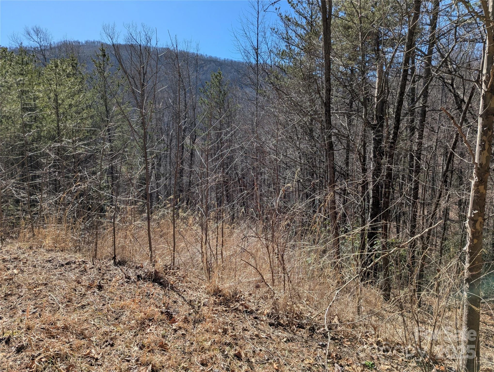94 Trillium Lane #C-2 - Photo 3