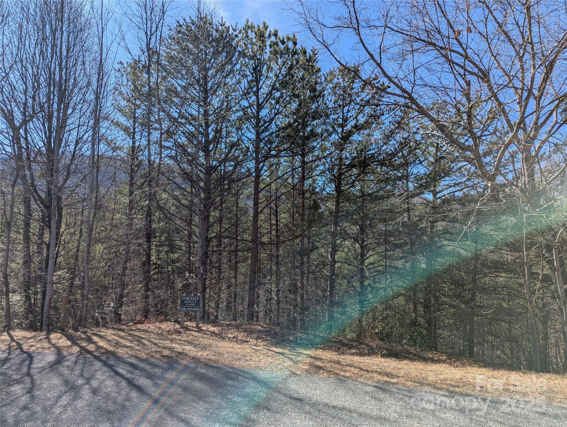 94 Trillium Lane #C-2 - Photo 4