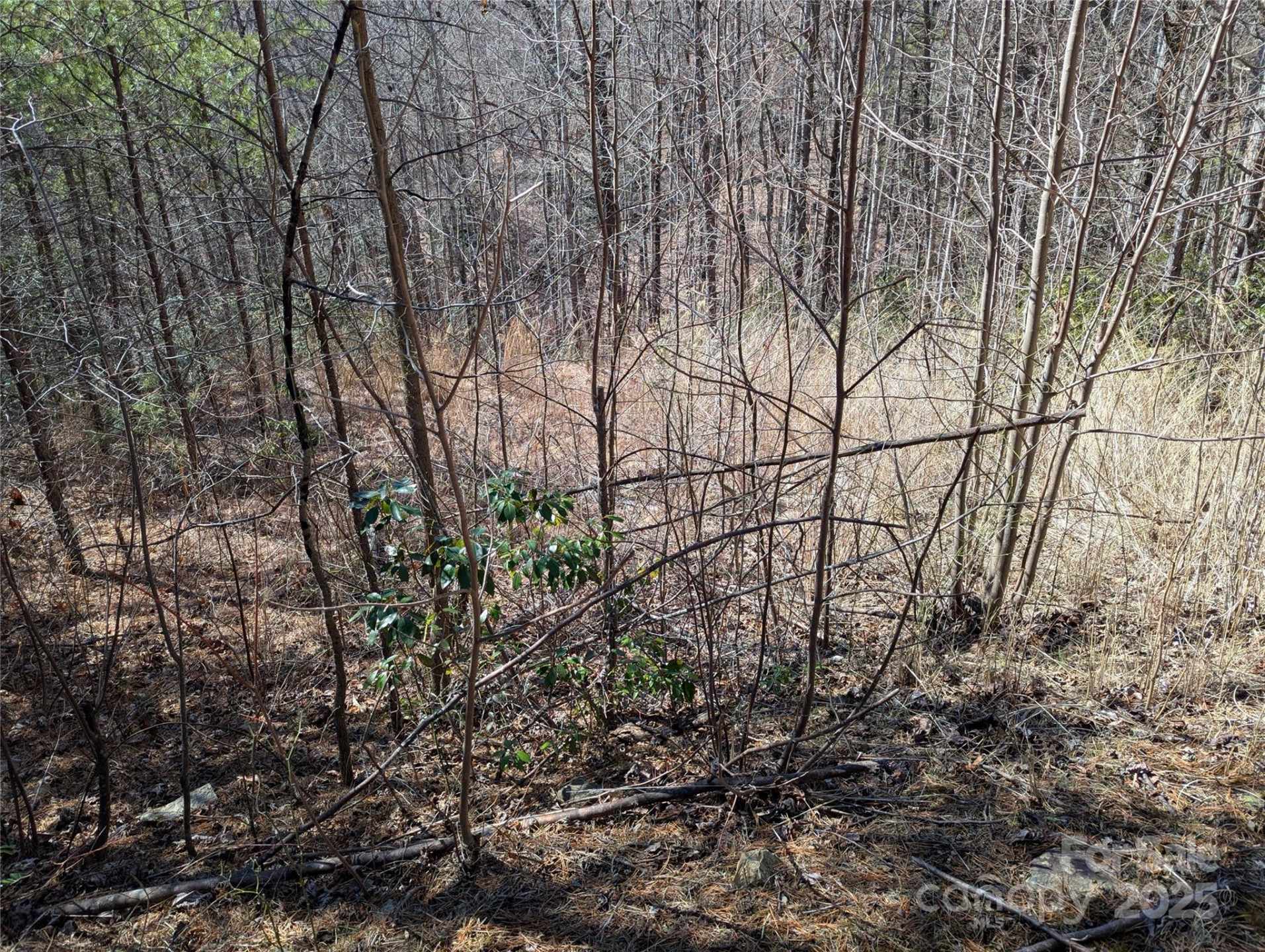 94 Trillium Lane #C-2 - Photo 5