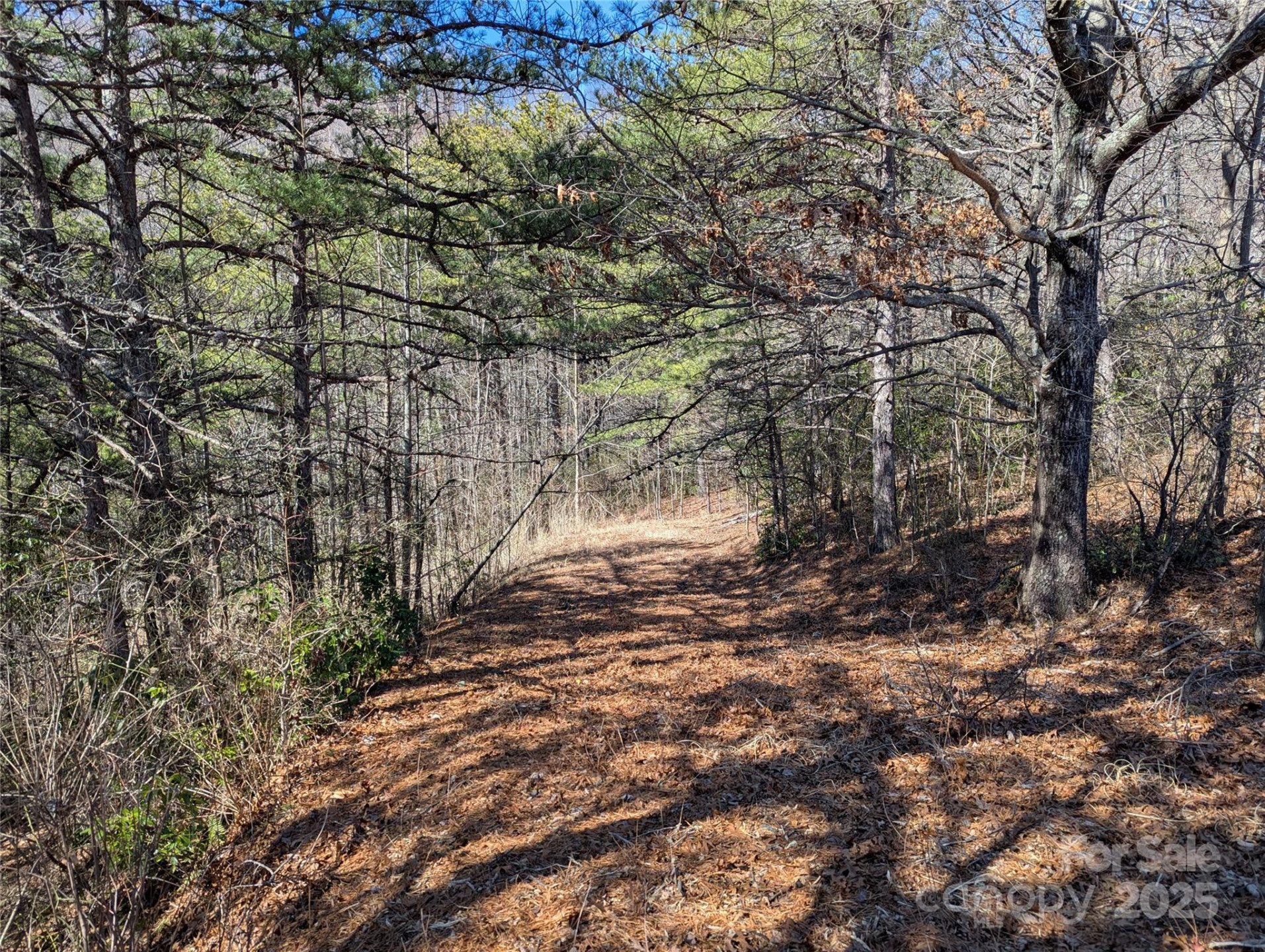 94 Trillium Lane #C-2 - Photo 6