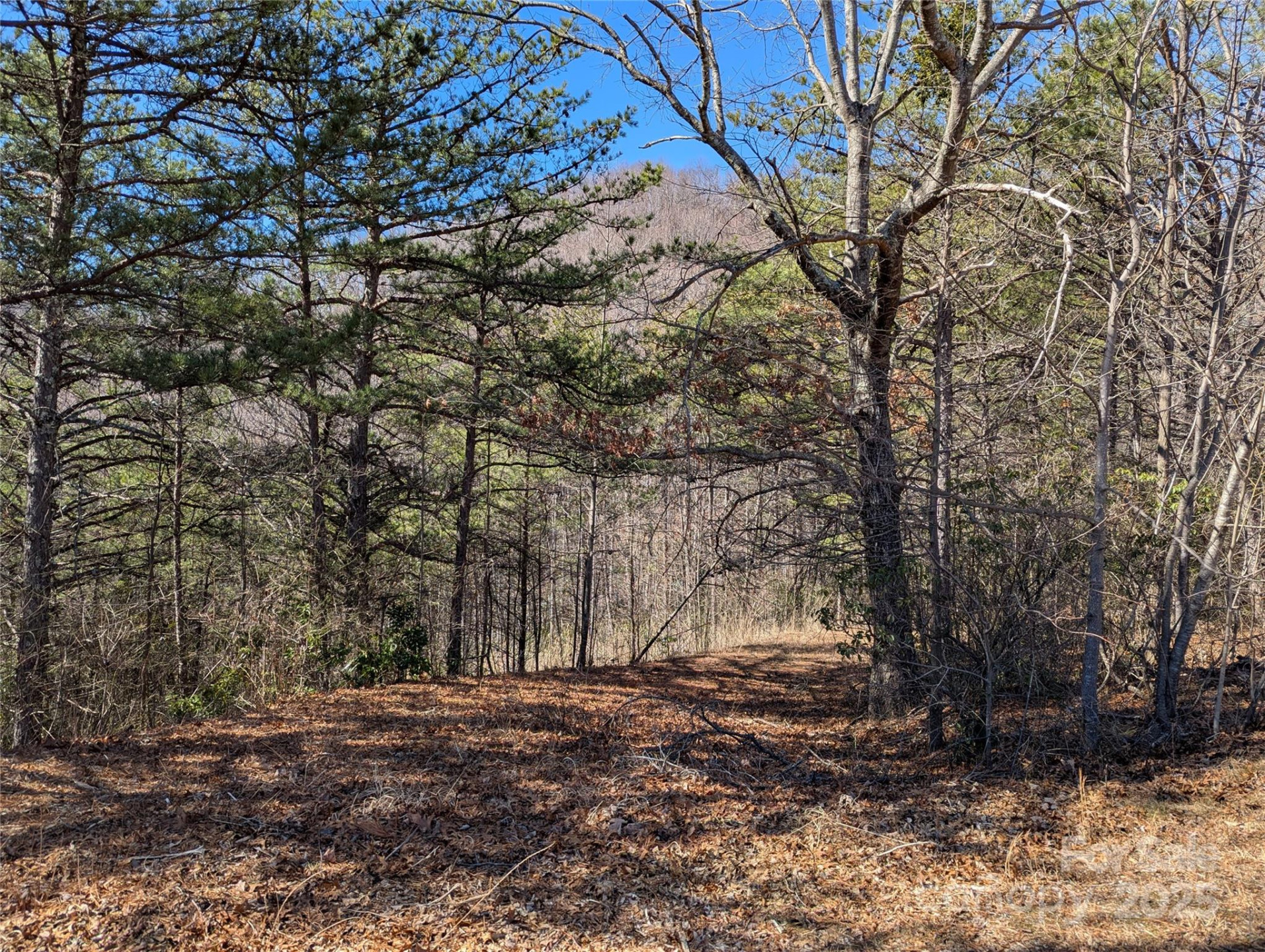 94 Trillium Lane #C-2 - Photo 7