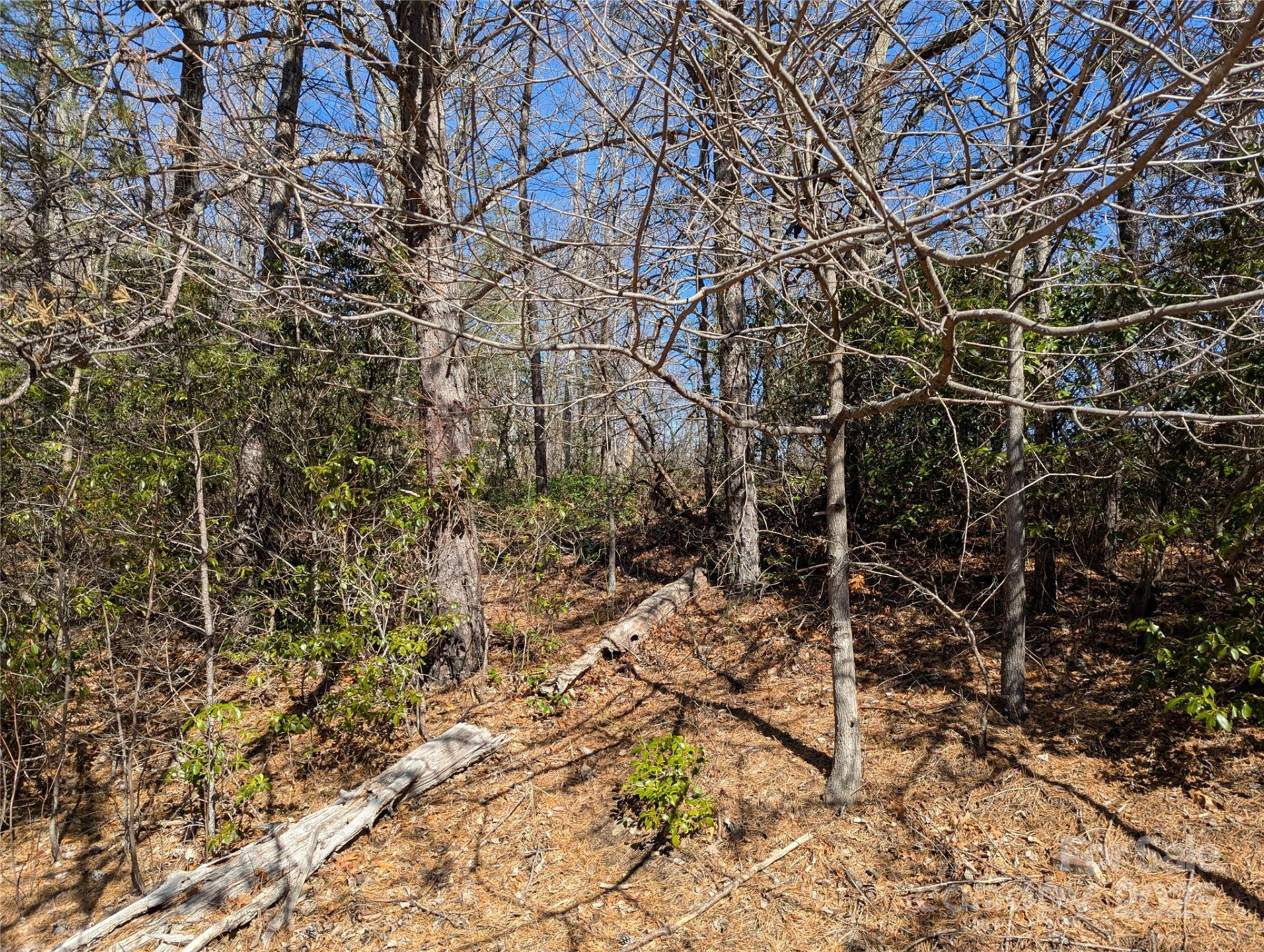 94 Trillium Lane #C-2 - Photo 8