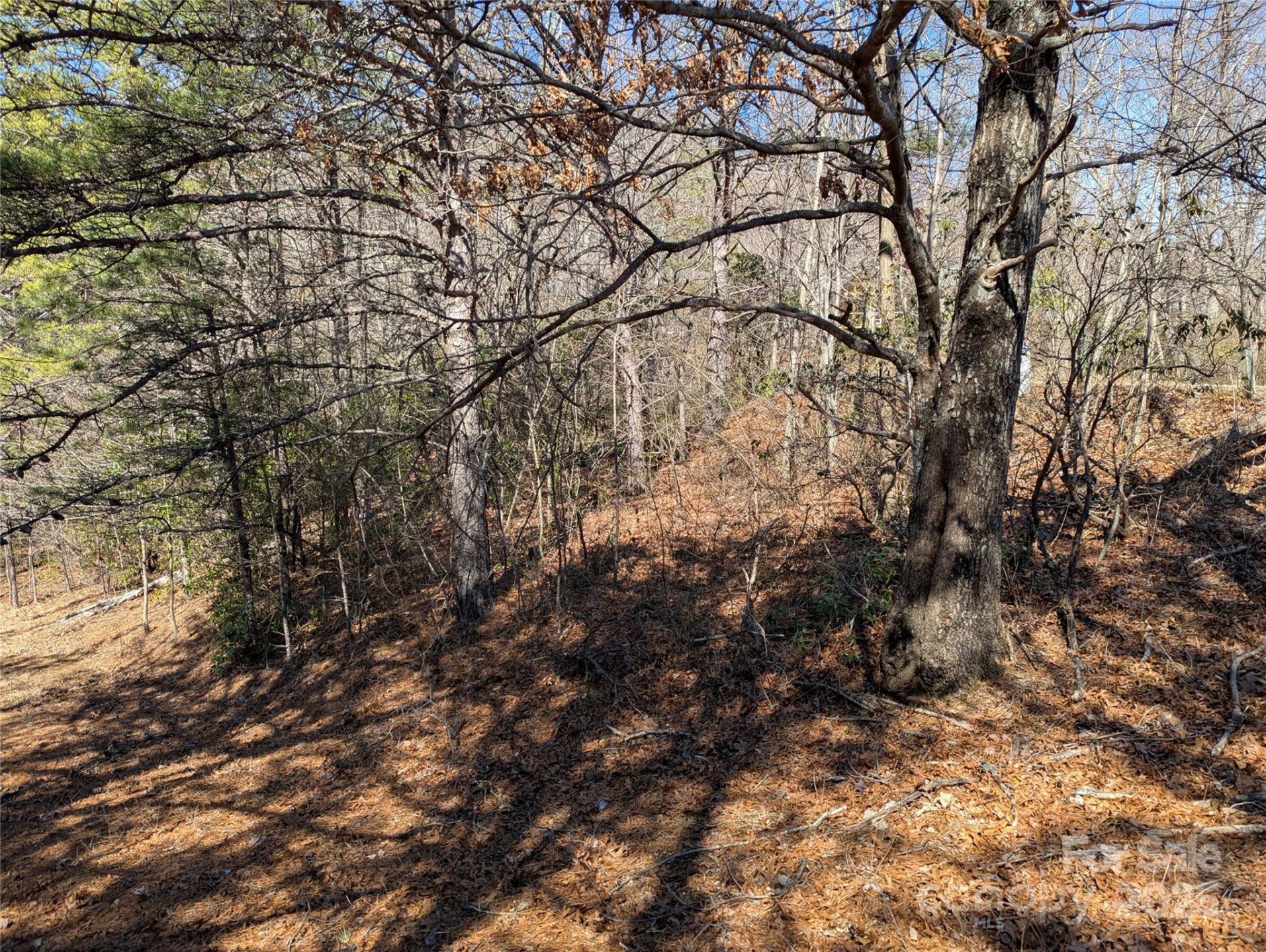 94 Trillium Lane #C-2 - Photo 9