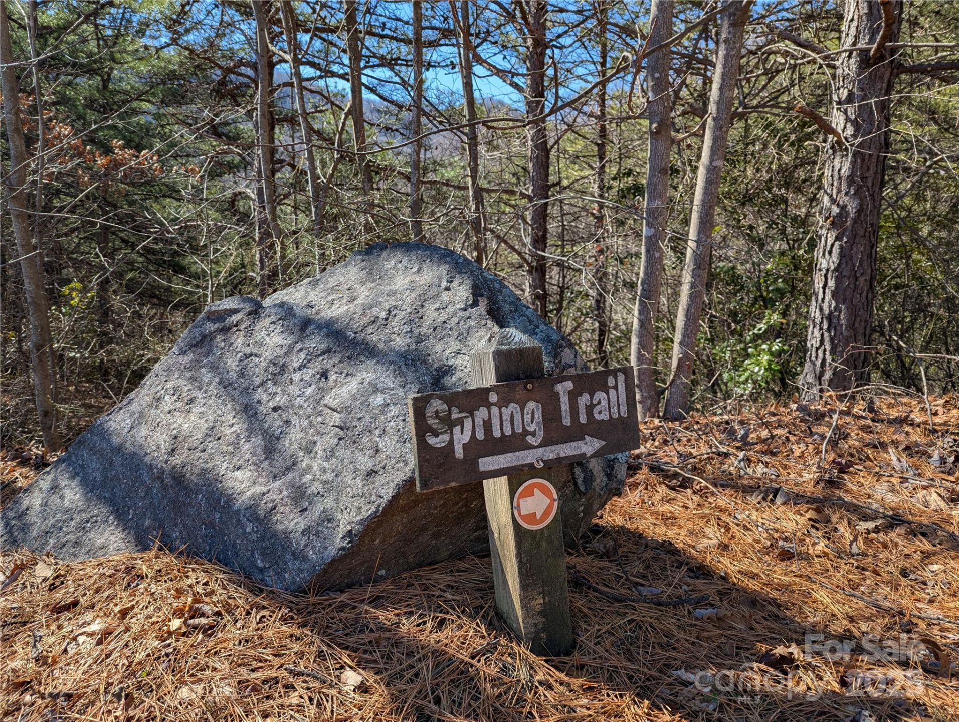 94 Trillium Lane #C-2 - Photo 10