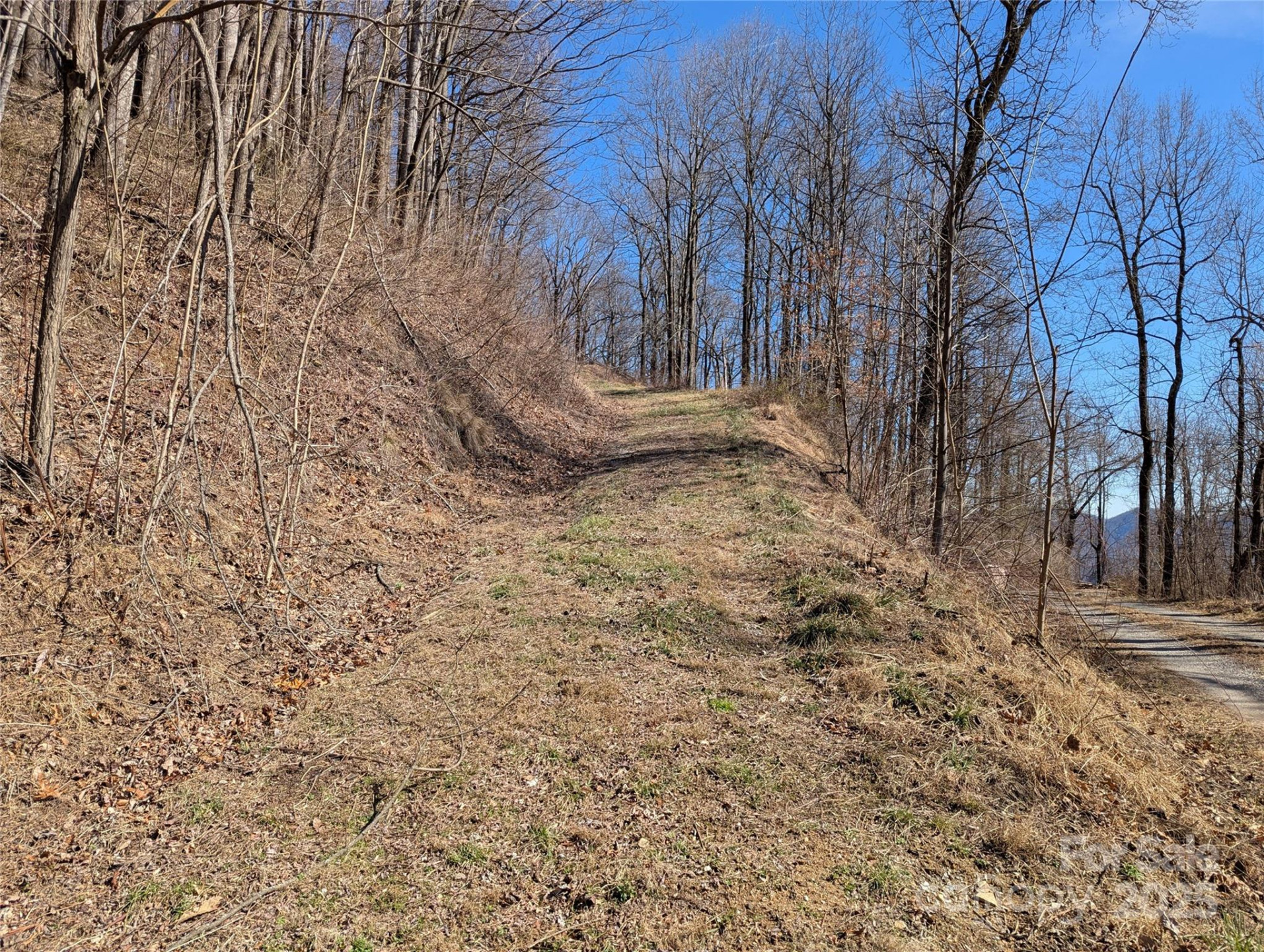 501 Warbler Lane #T-62 - Photo 11