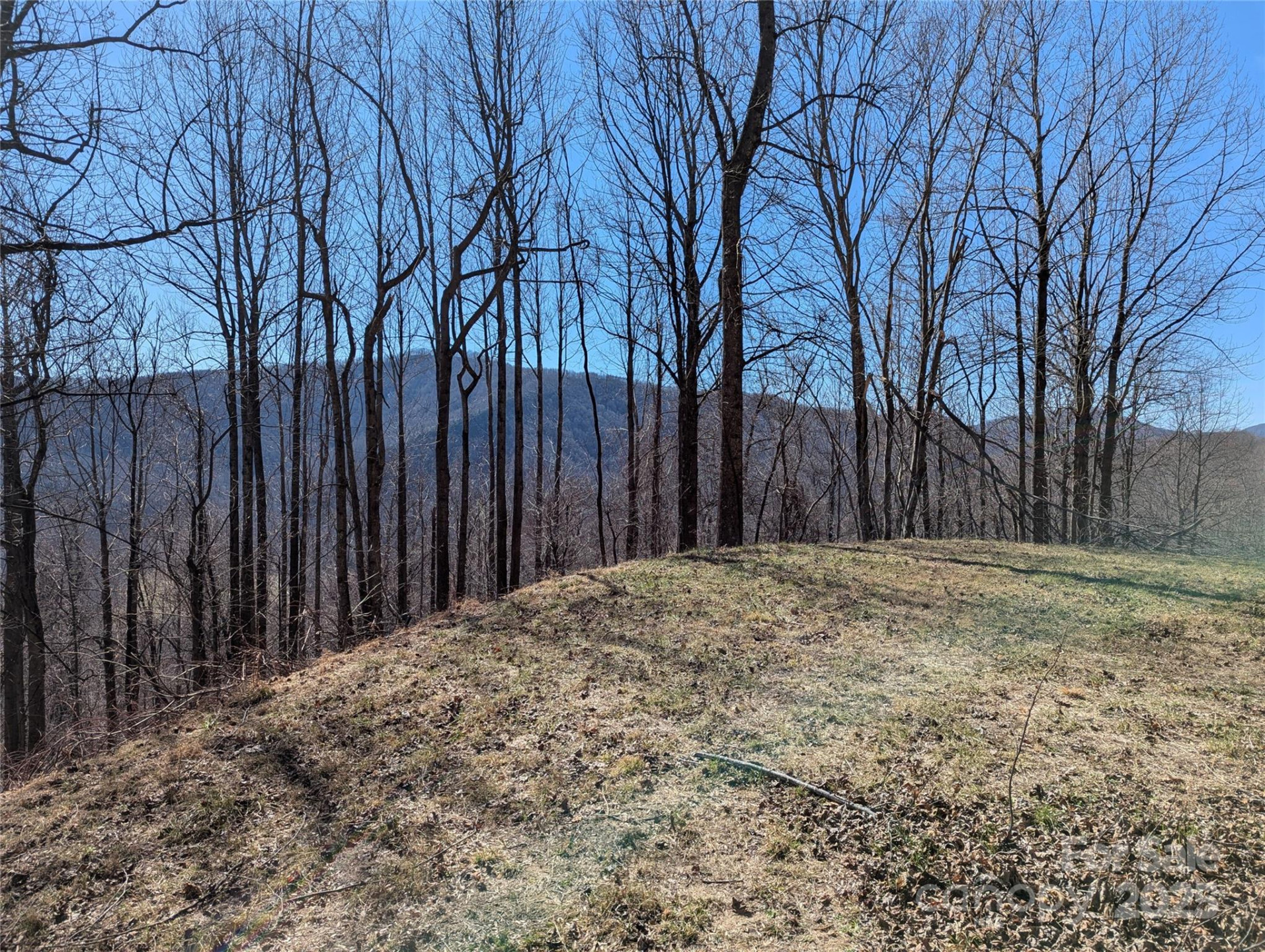 501 Warbler Lane #T-62 - Photo 12