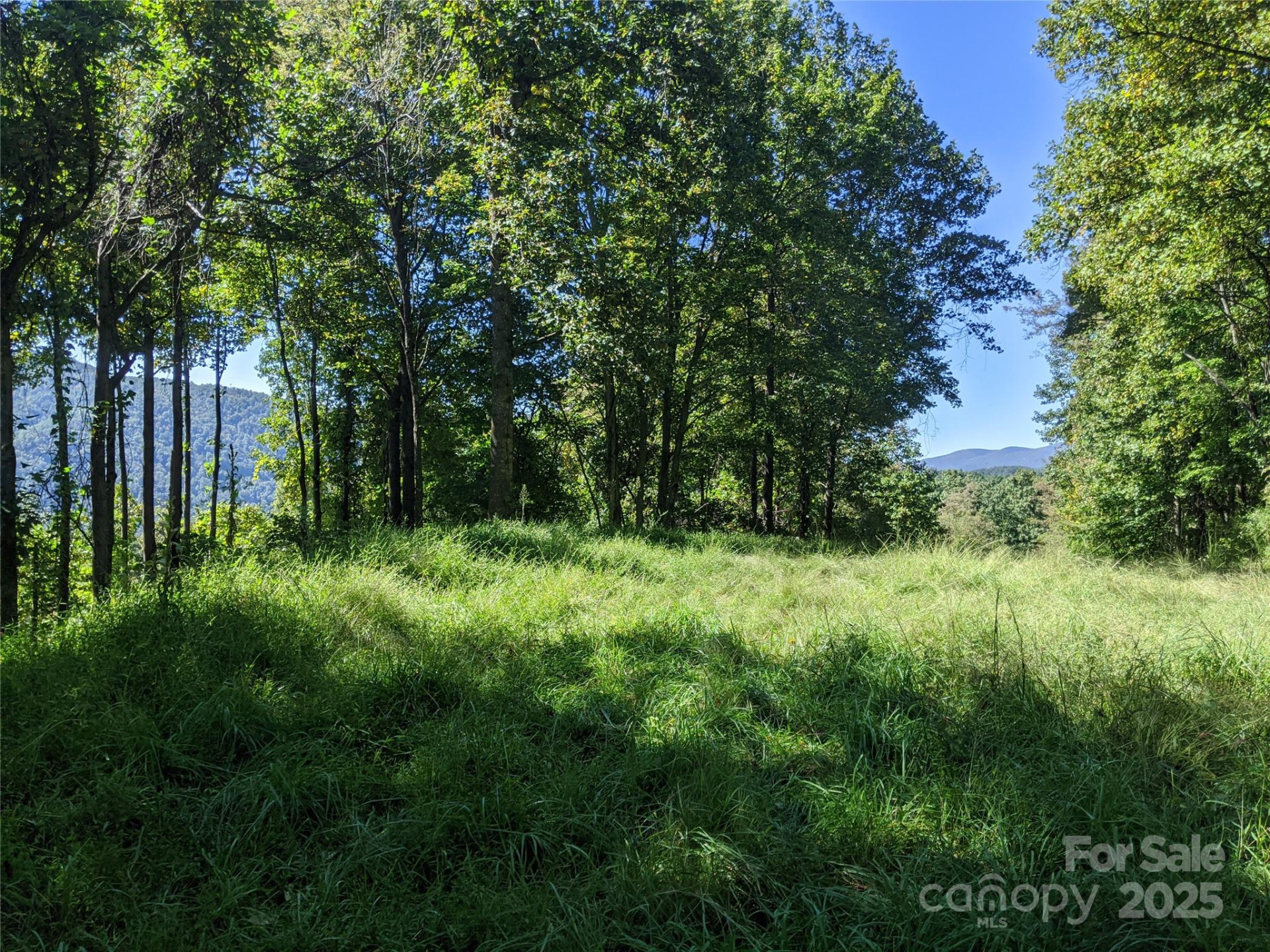 501 Warbler Lane #T-62 - Photo 13