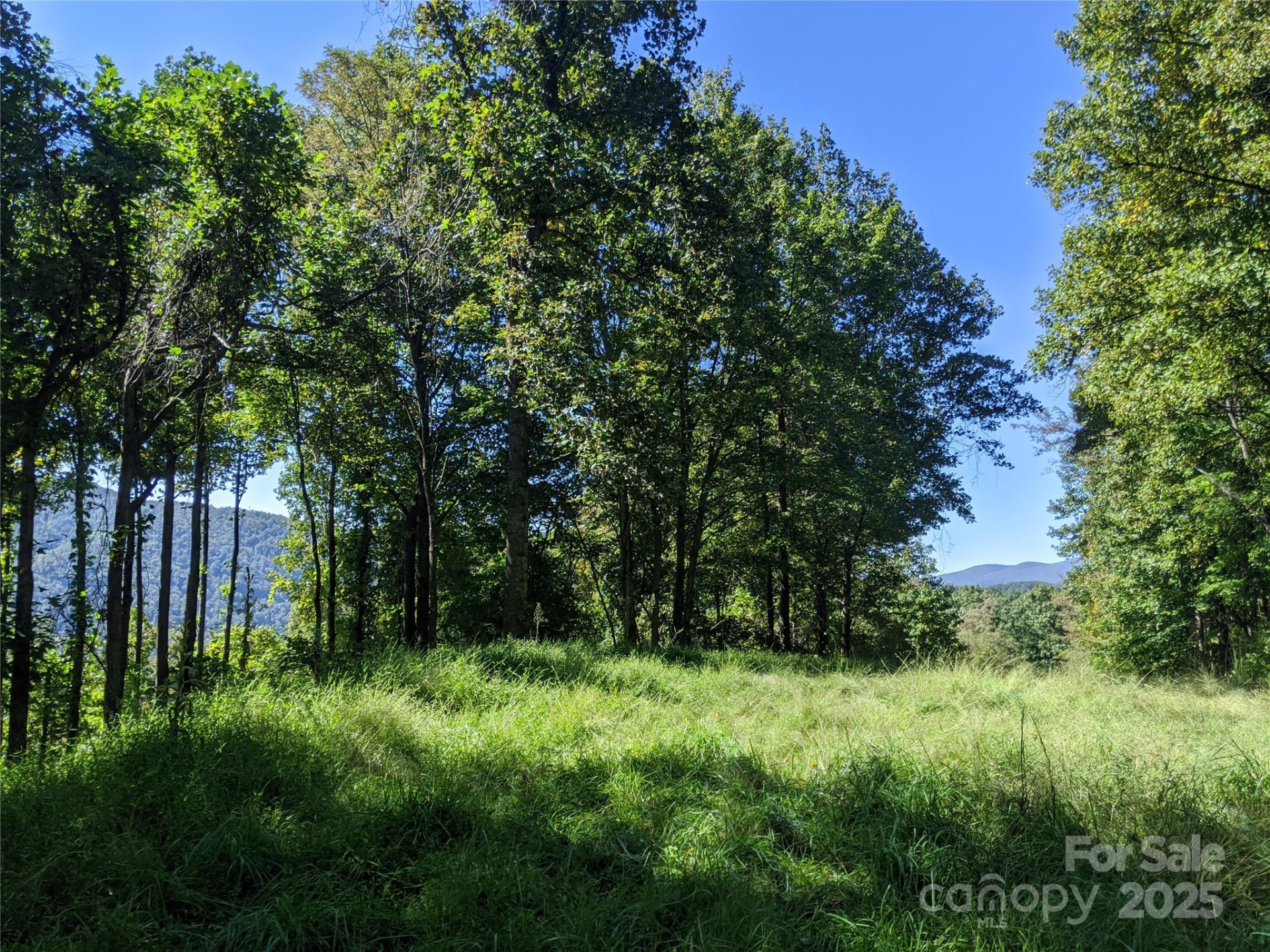 501 Warbler Lane #T-62 - Photo 14