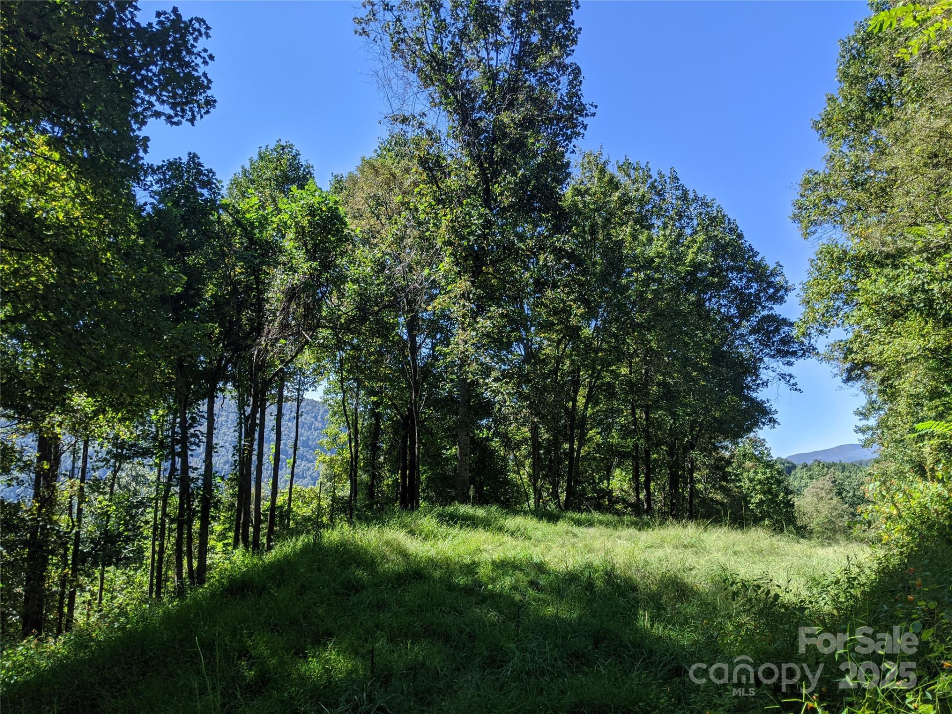 501 Warbler Lane #T-62 - Photo 15