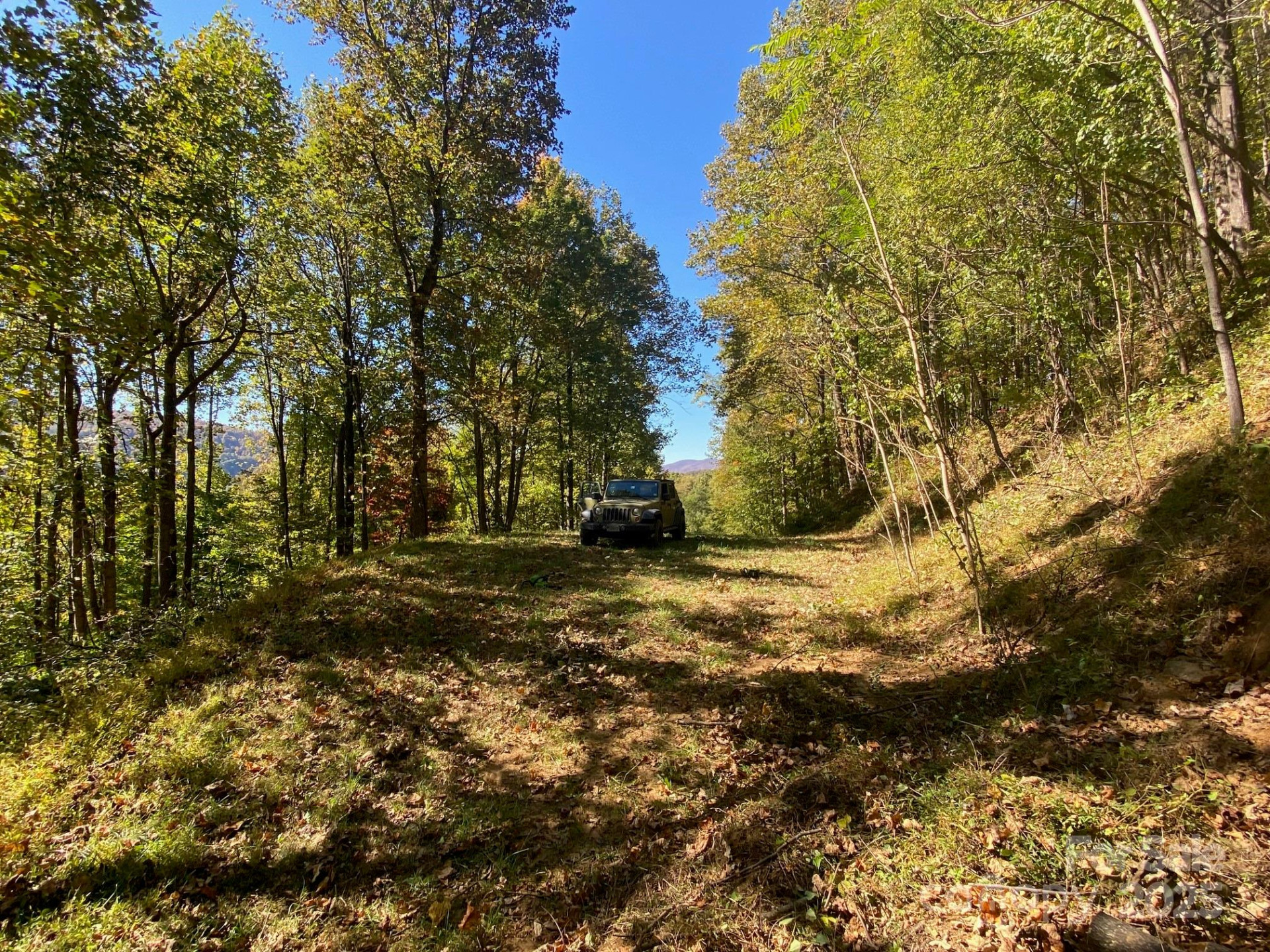 501 Warbler Lane #T-62 - Photo 16