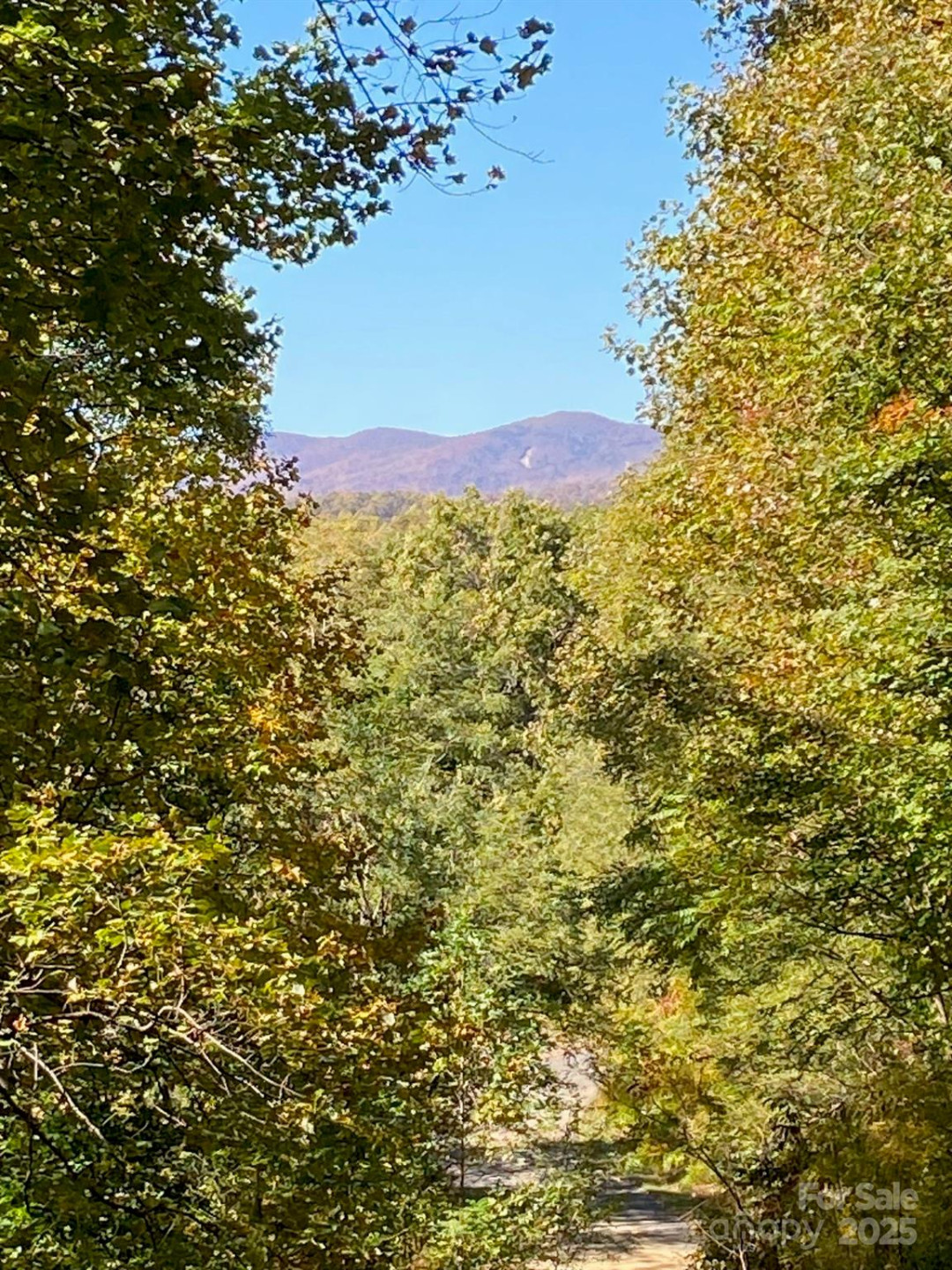 501 Warbler Lane #T-62 - Photo 17