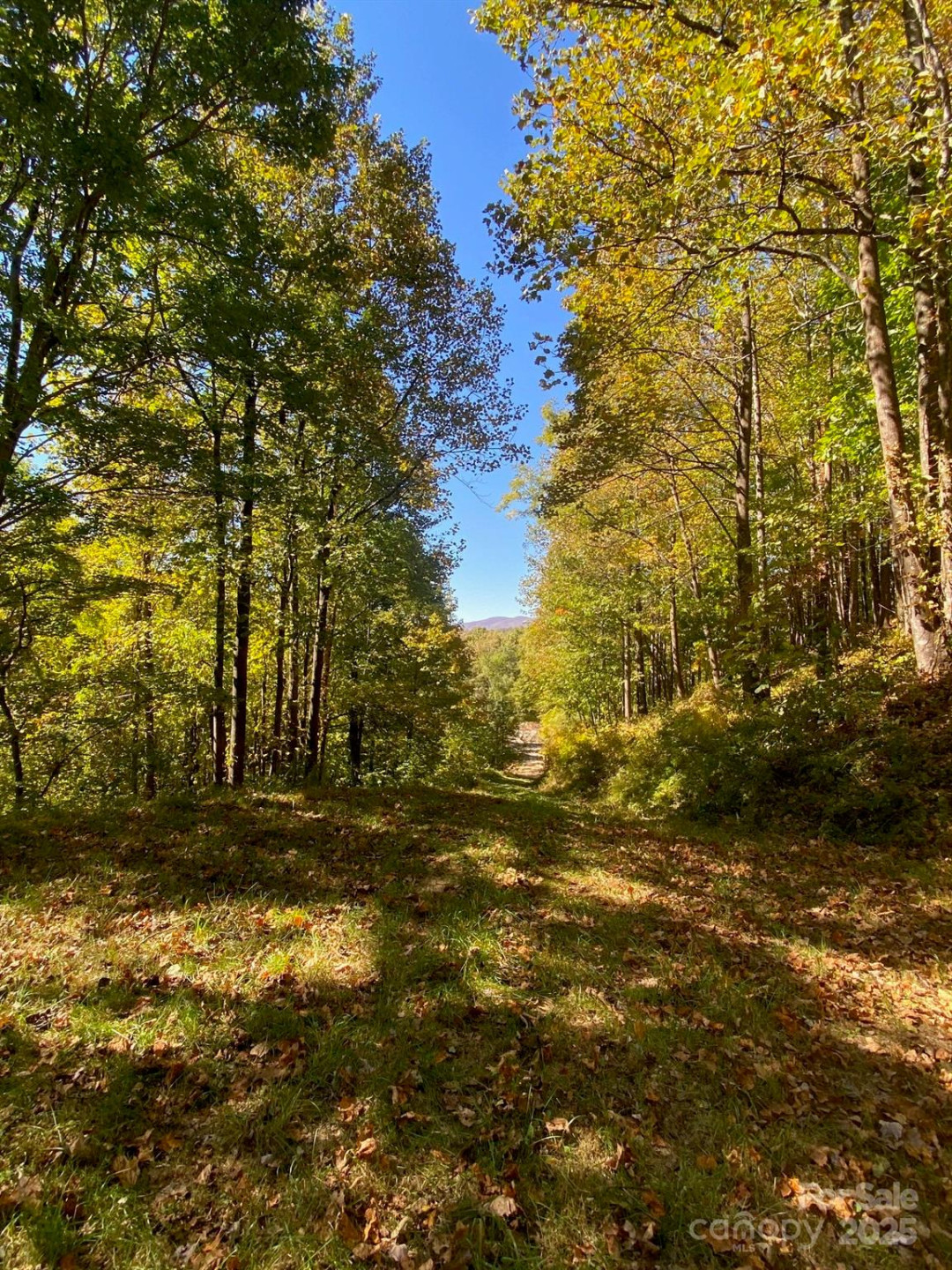 501 Warbler Lane #T-62 - Photo 18