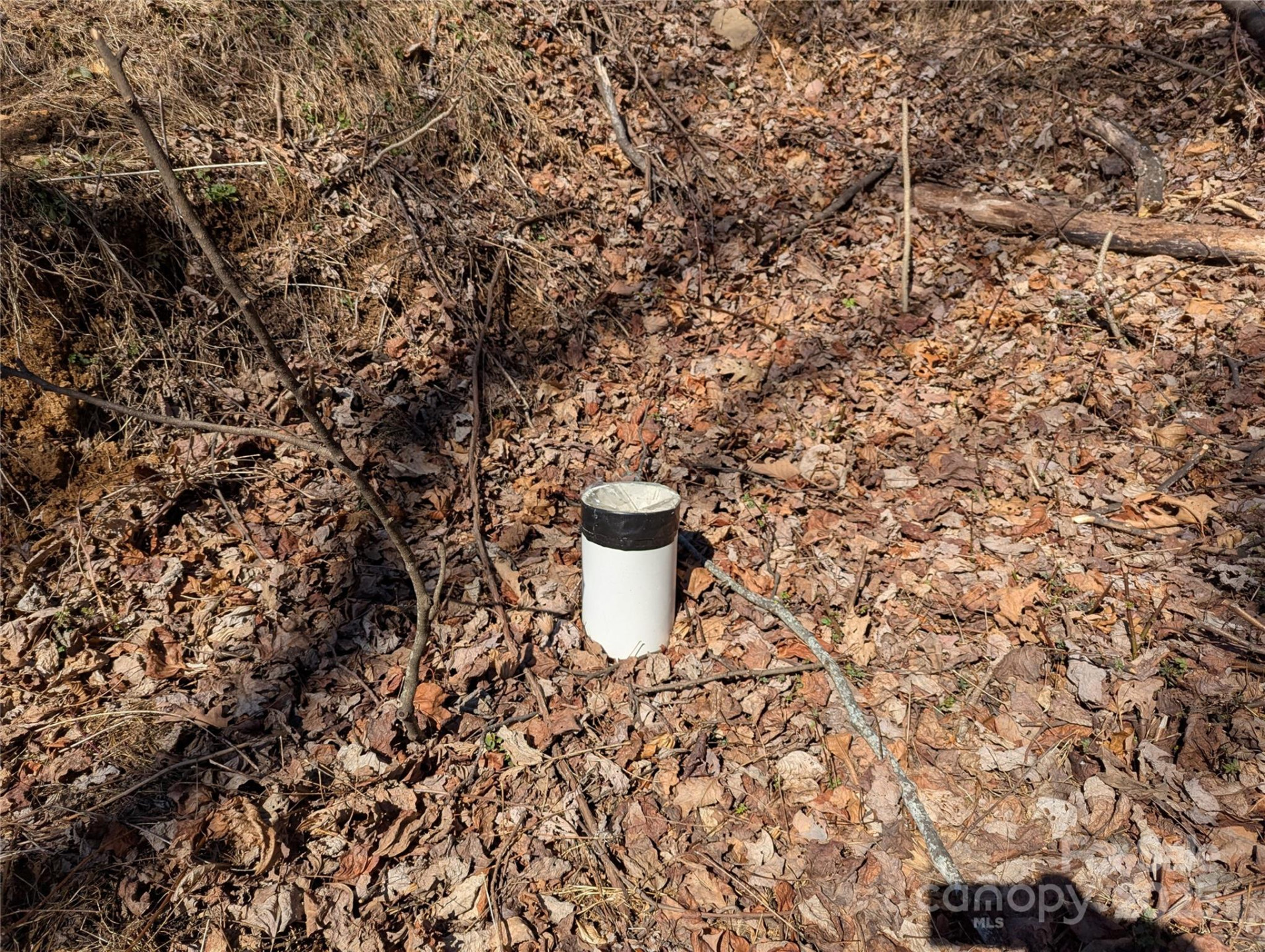 501 Warbler Lane #T-62 - Photo 19