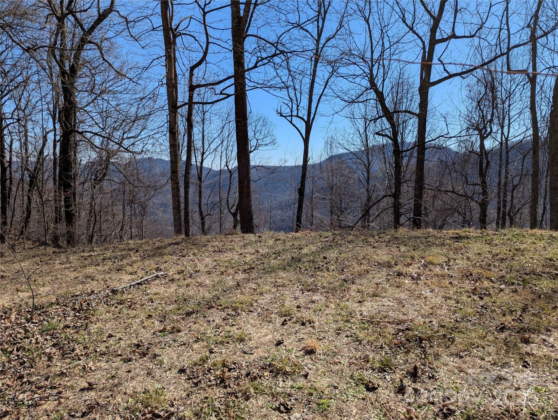 501 Warbler Lane #T-62 - Photo 4