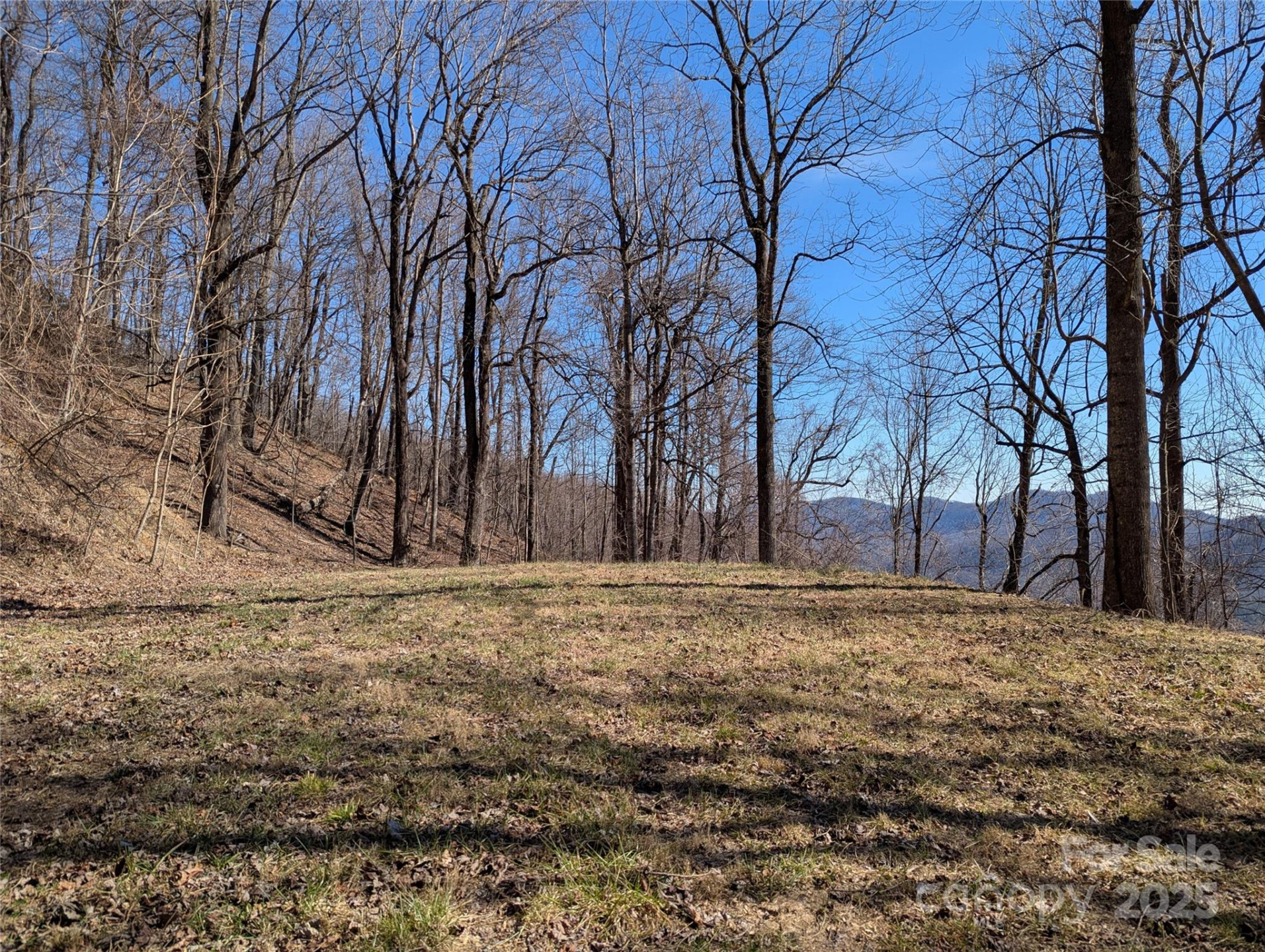 501 Warbler Lane #T-62 - Photo 5