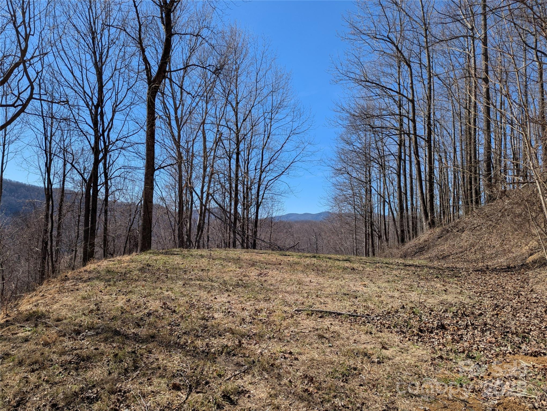 501 Warbler Lane #T-62 - Photo 6