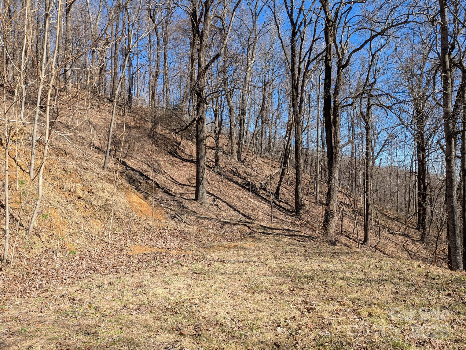 501 Warbler Lane #T-62 - Photo 7