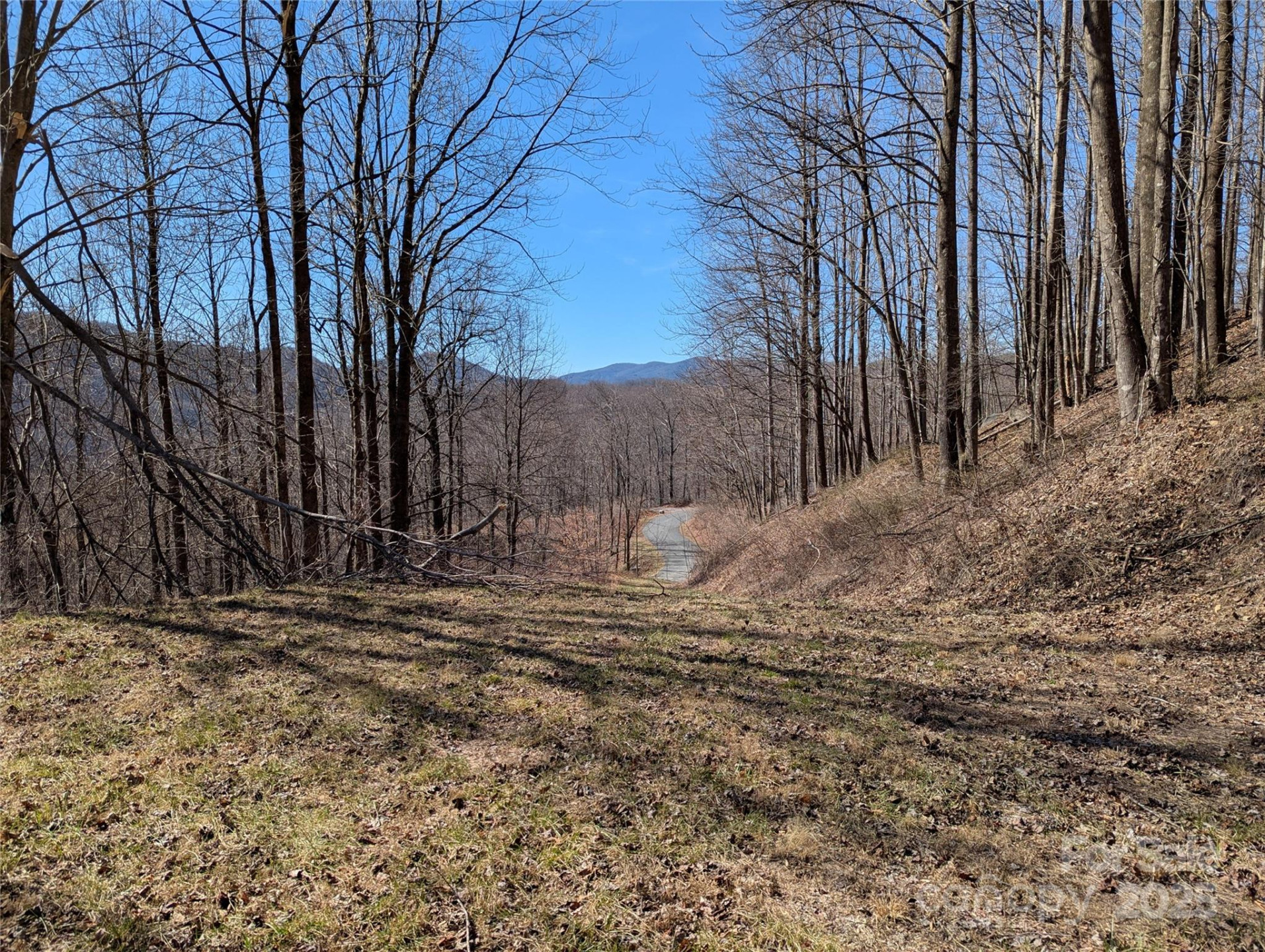 501 Warbler Lane #T-62 - Photo 8