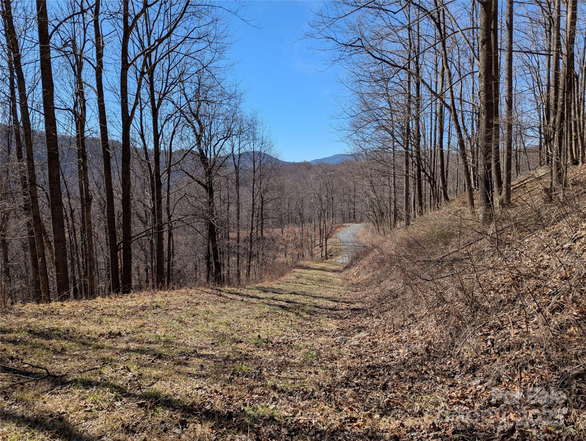 501 Warbler Lane #T-62 - Photo 9