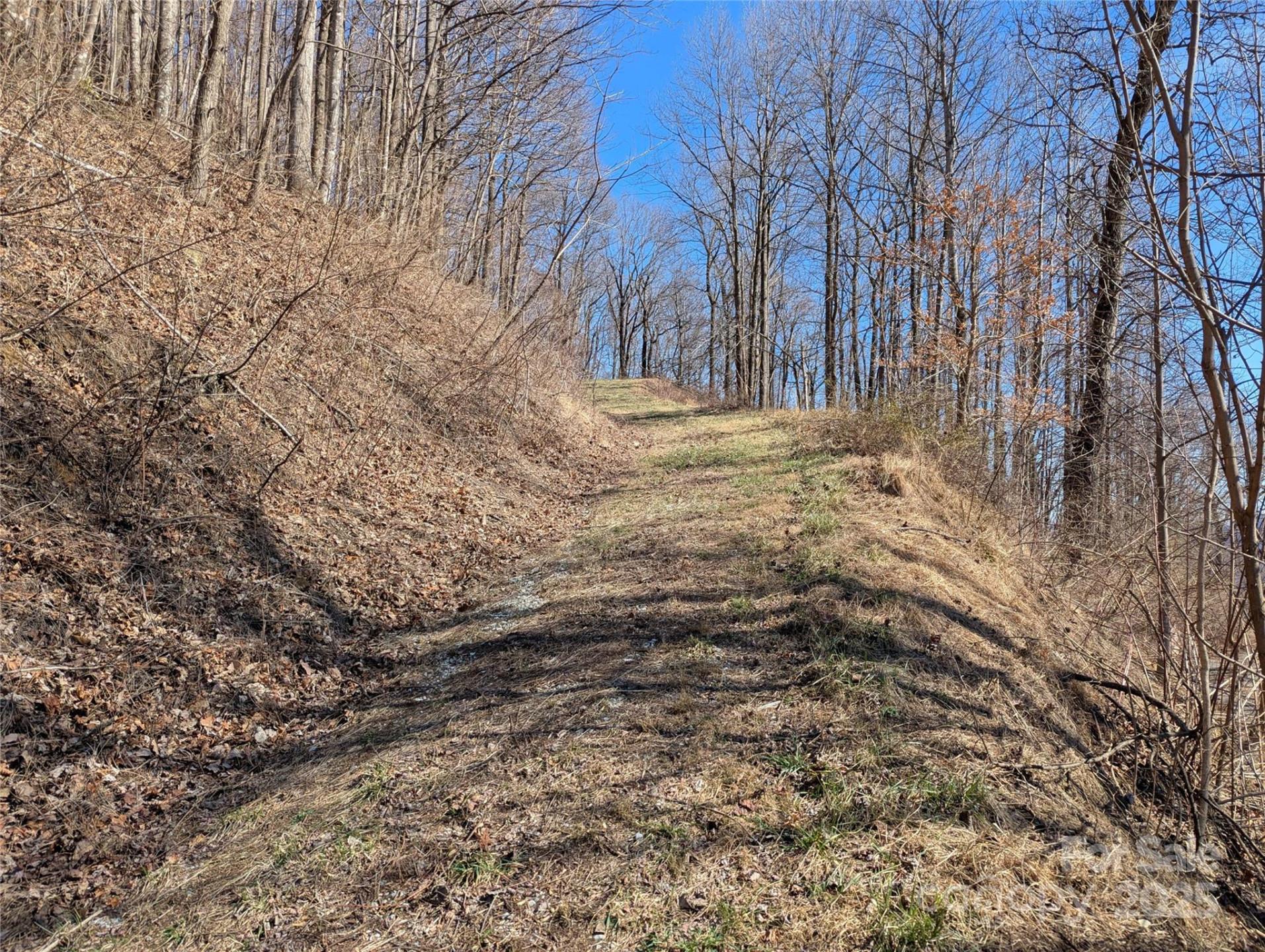 501 Warbler Lane #T-62 - Photo 10