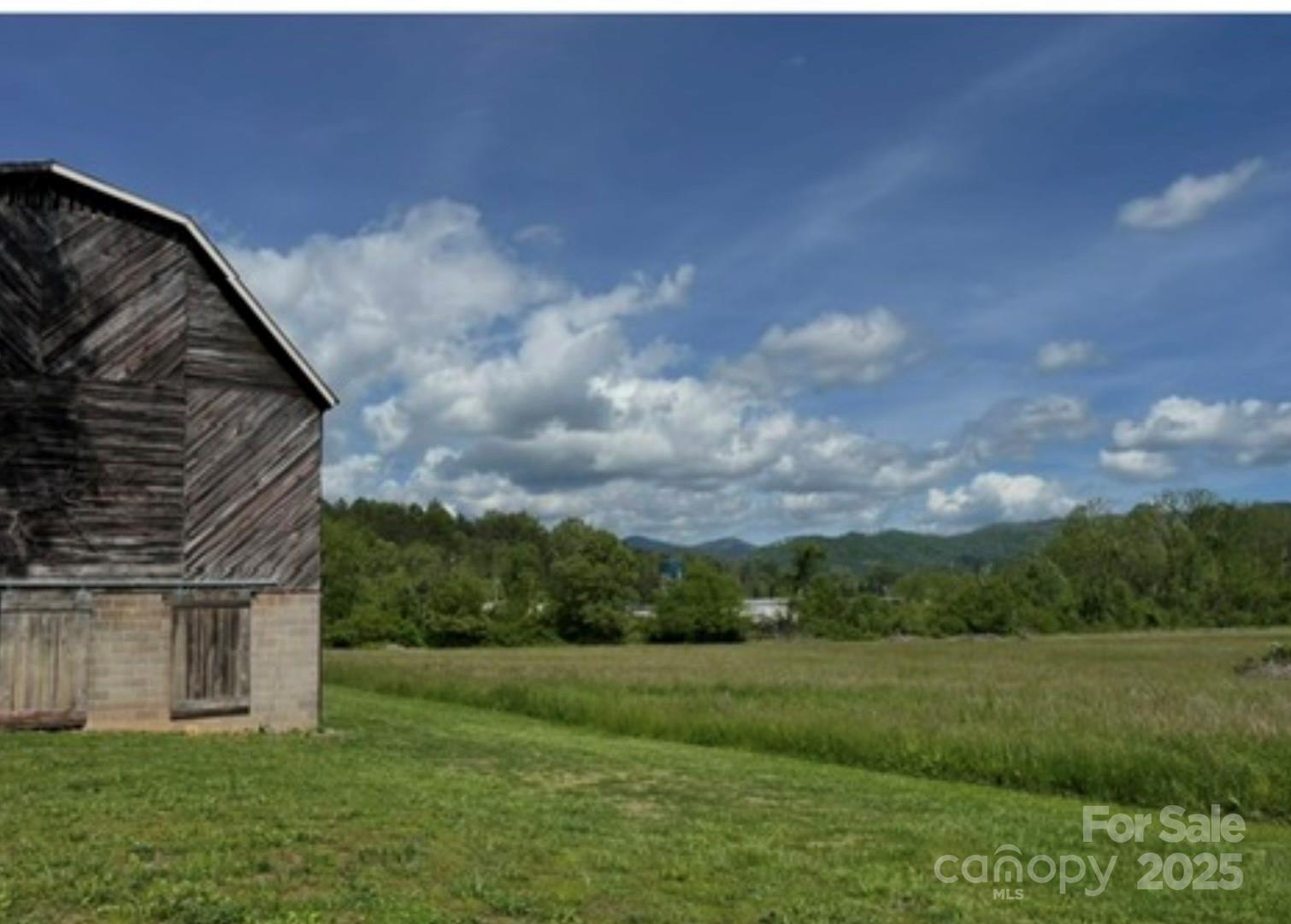 143 Reems Creek Road - Photo 4