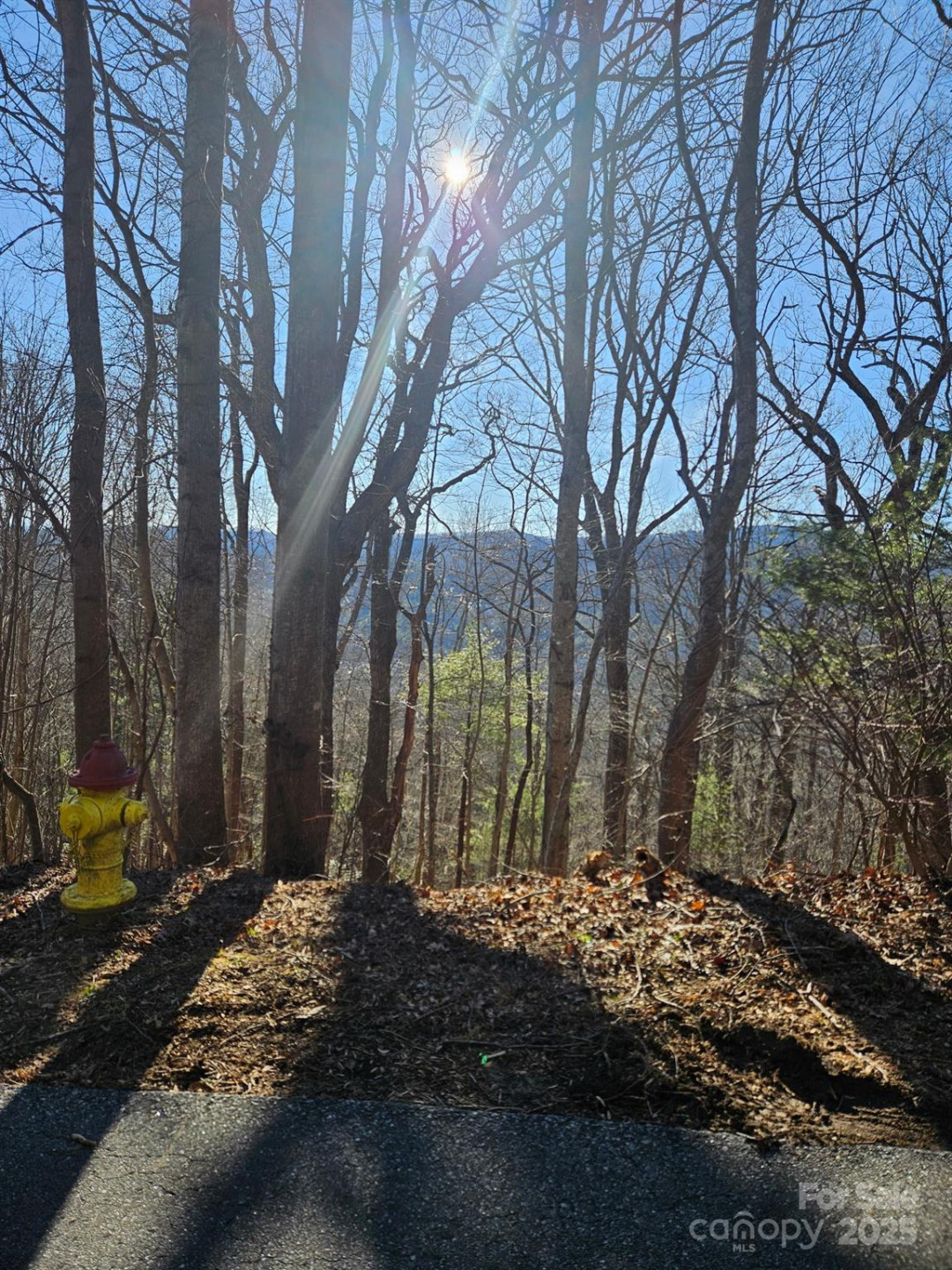 99999 Churchill Downs Drive - Photo 26