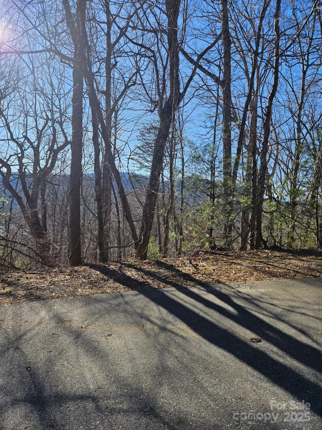 99999 Churchill Downs Drive - Photo 27