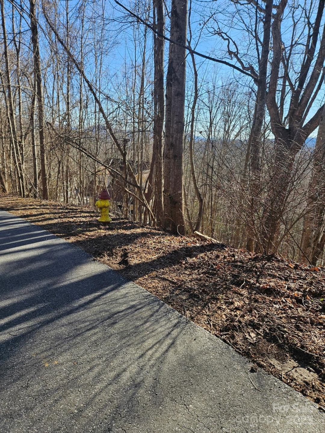 99999 Churchill Downs Drive - Photo 28