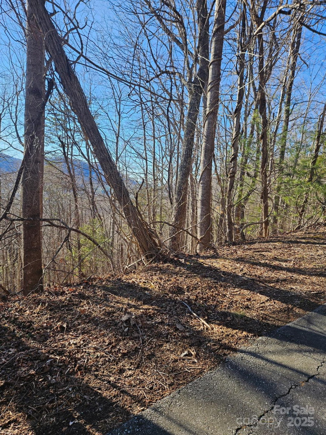 99999 Churchill Downs Drive - Photo 29