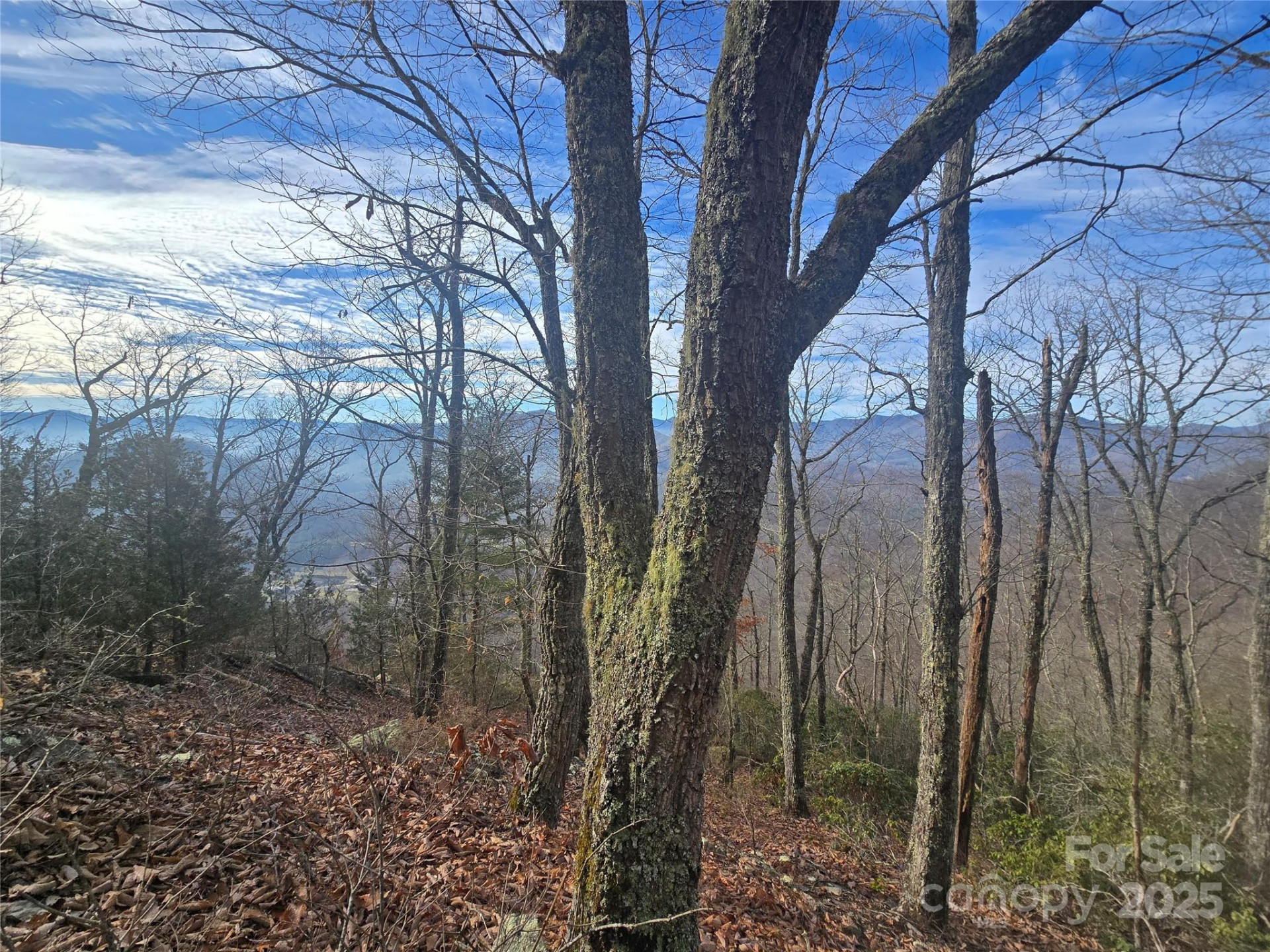 0000 Black Mountain Road #52 - Photo 2