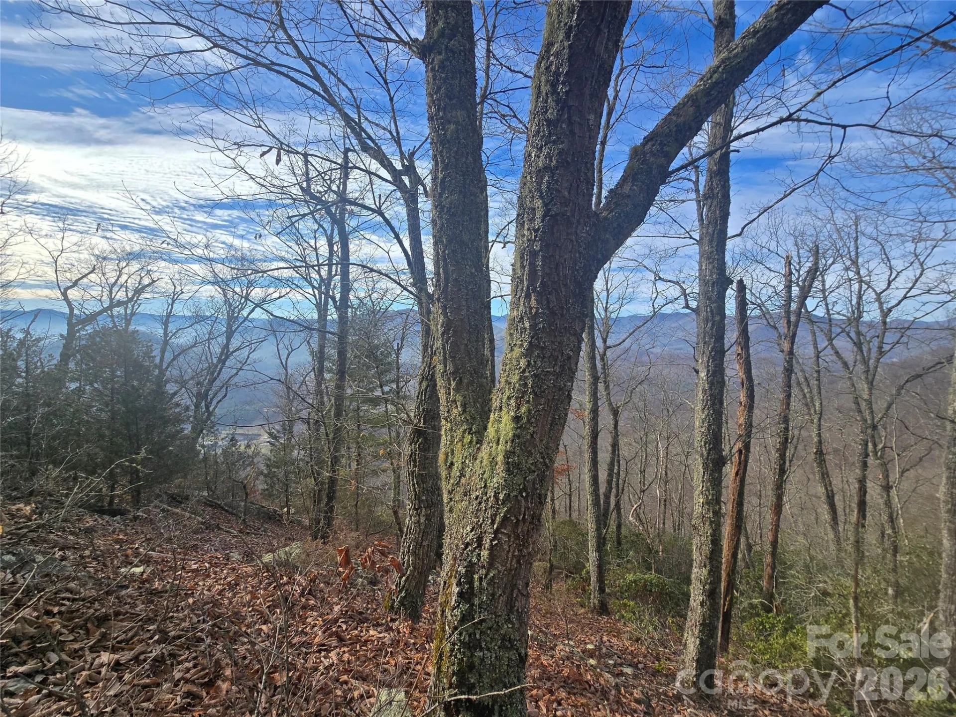0000 Black Mountain Road #52 - Photo 3
