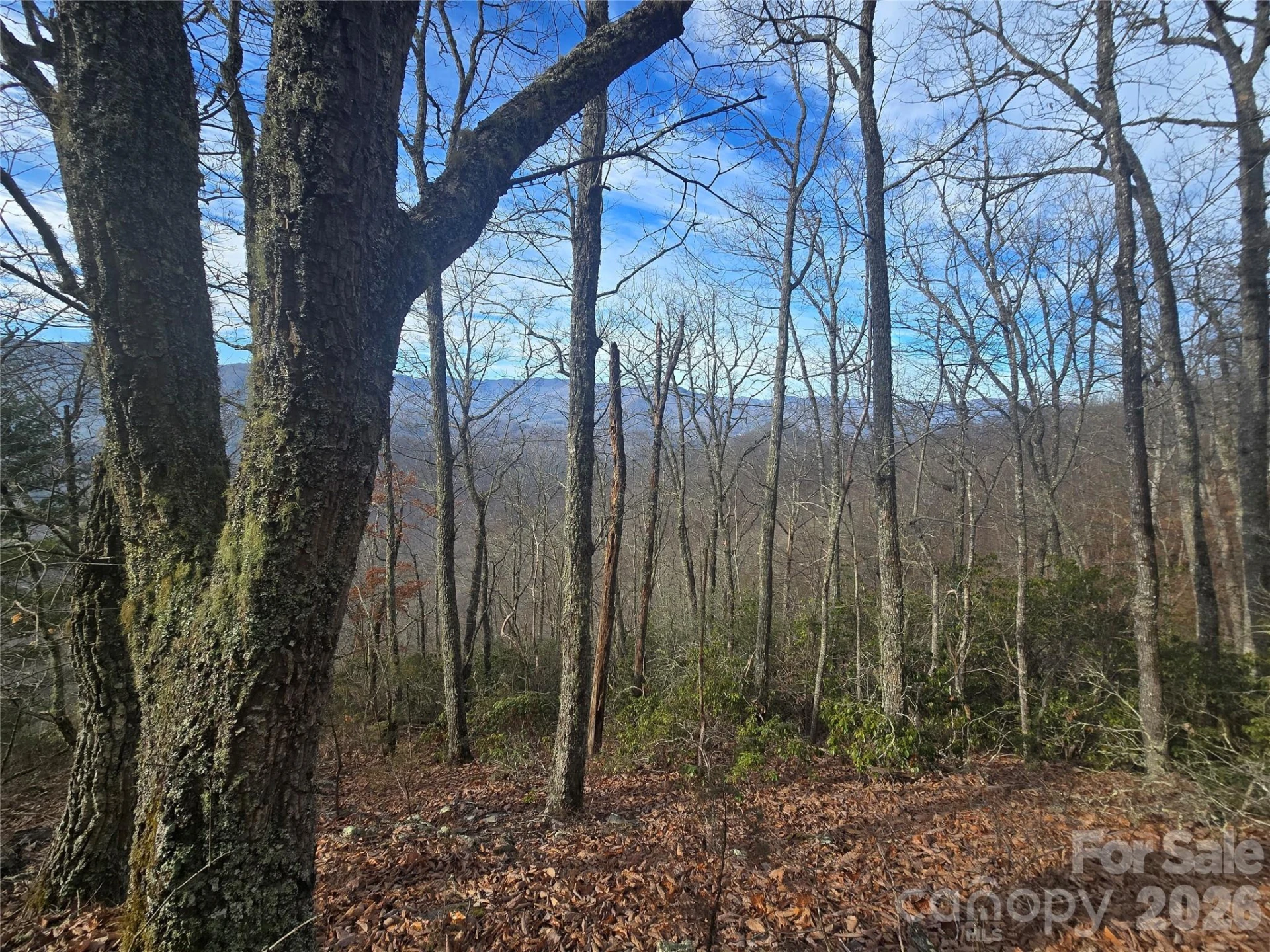 0000 Black Mountain Road #52 - Photo 5