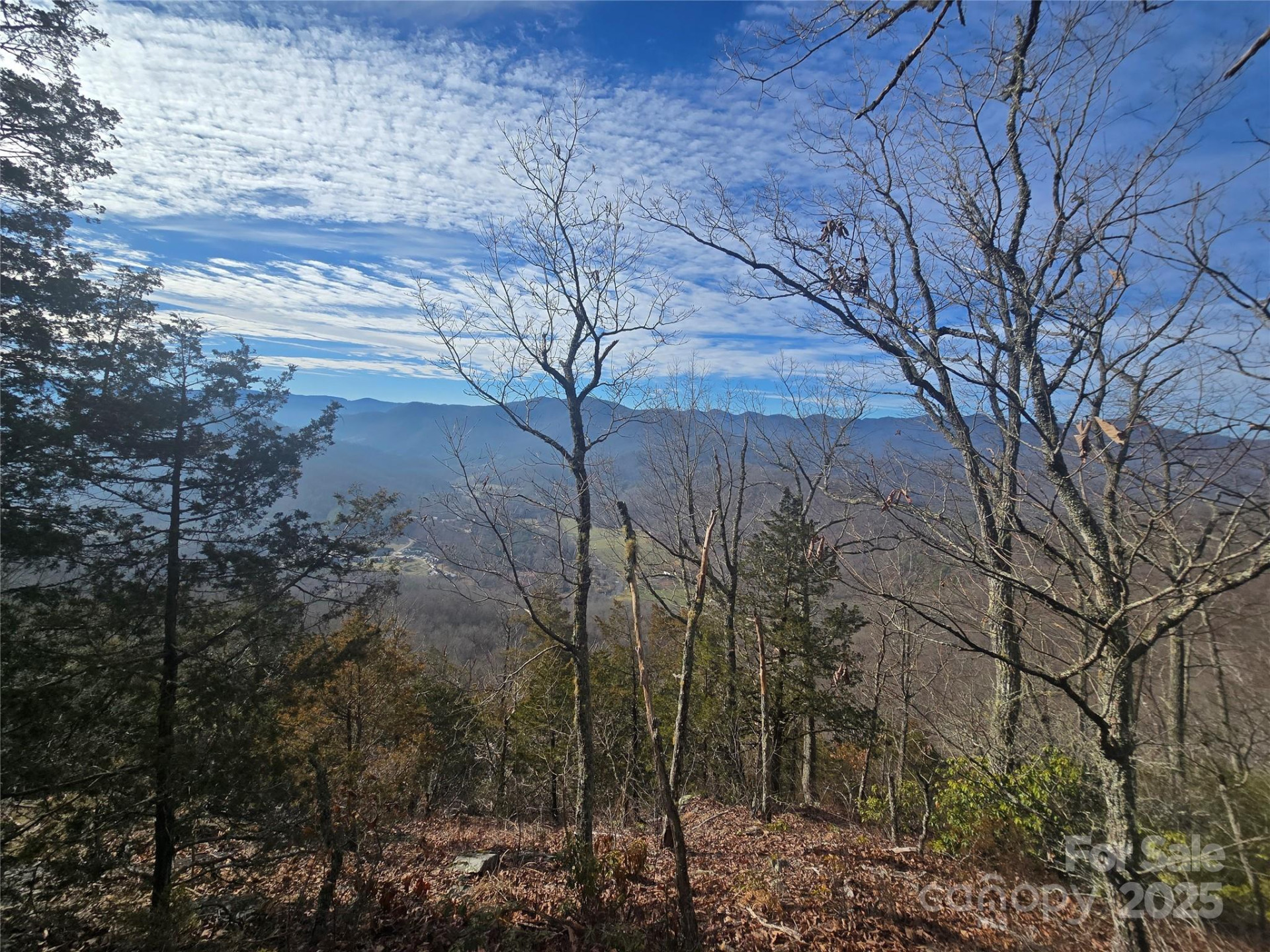 0000 Black Mountain Road #52 - Photo 4