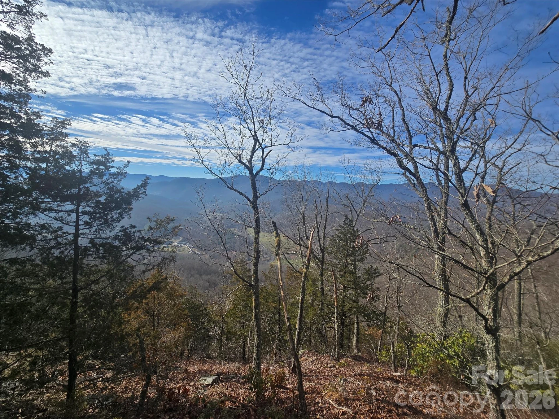 0000 Black Mountain Road #52 - Photo 7