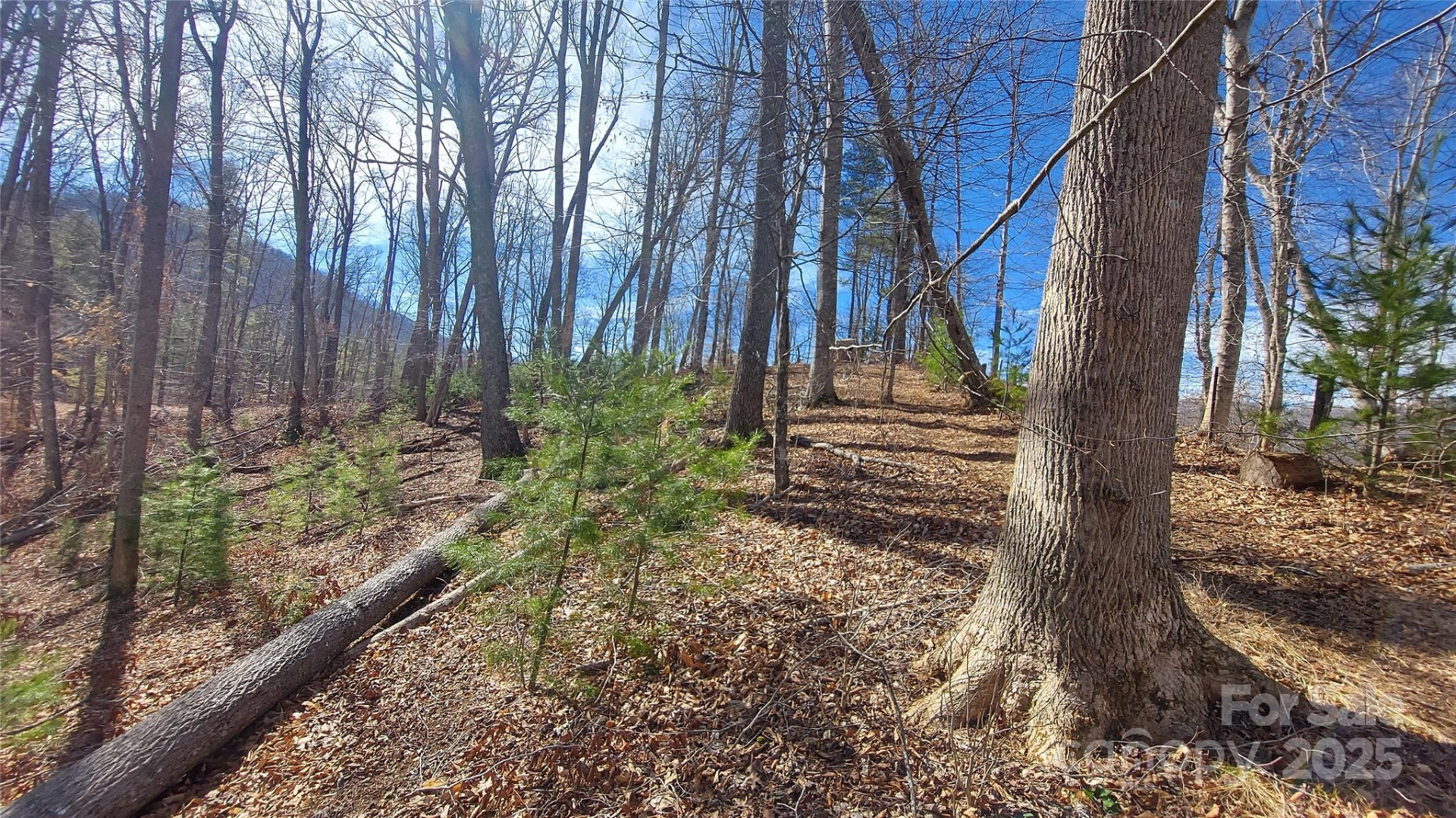 103 Barn Road - Photo 2