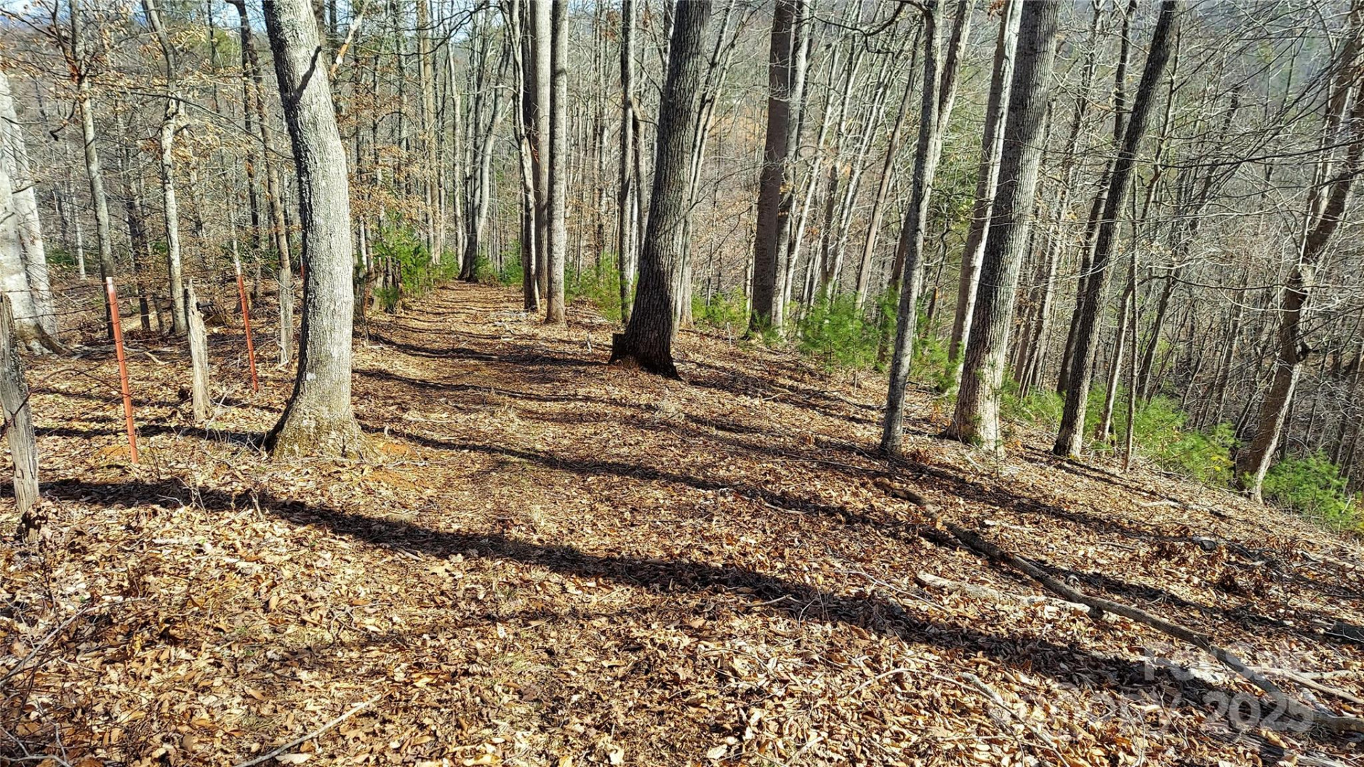 103 Barn Road - Photo 3