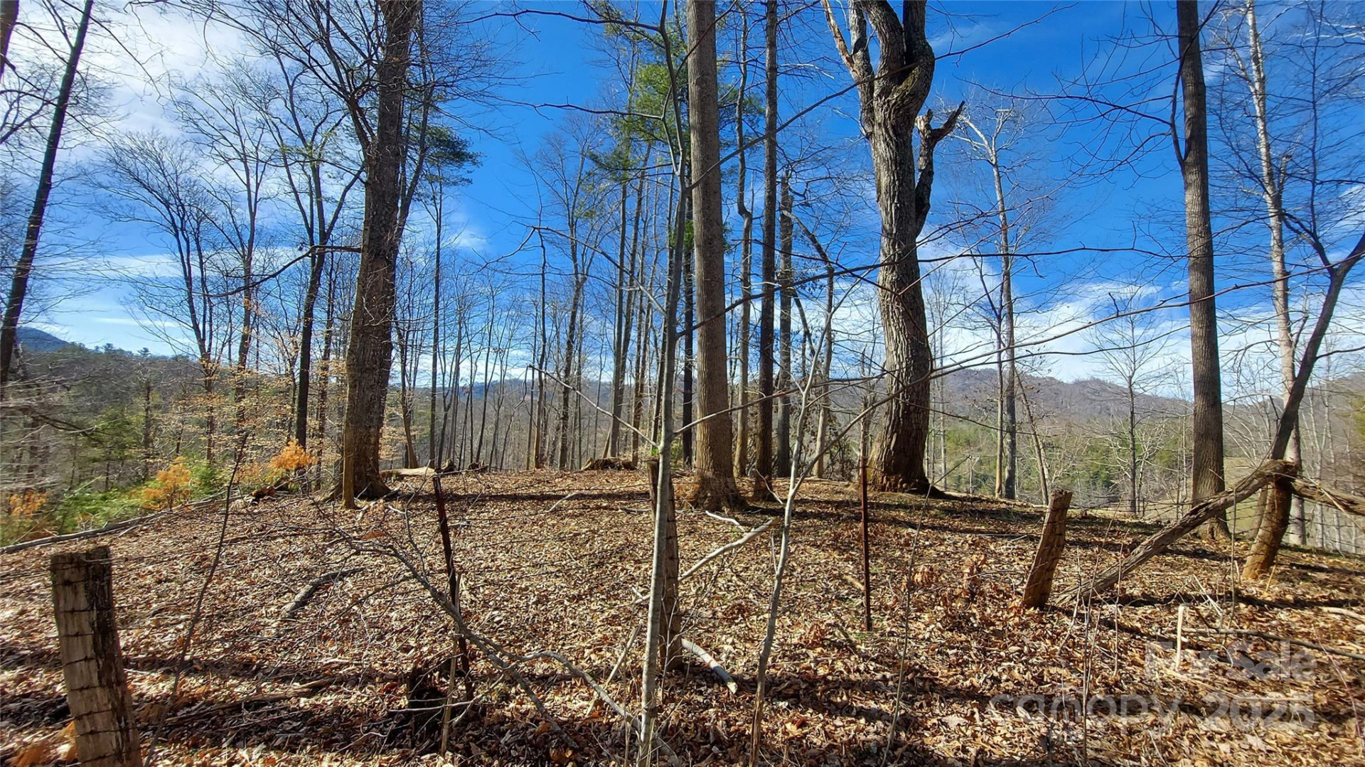 103 Barn Road - Photo 5