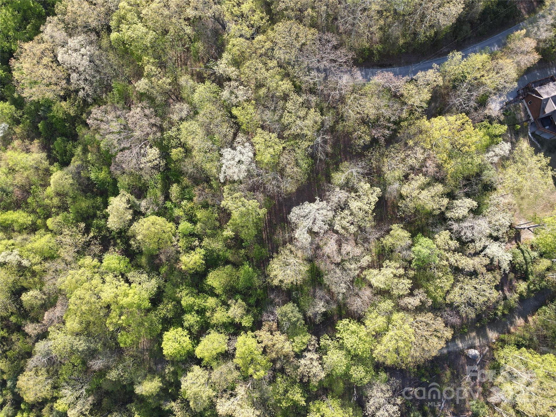 0000 Laurel Creek Drive #32 - Photo 2