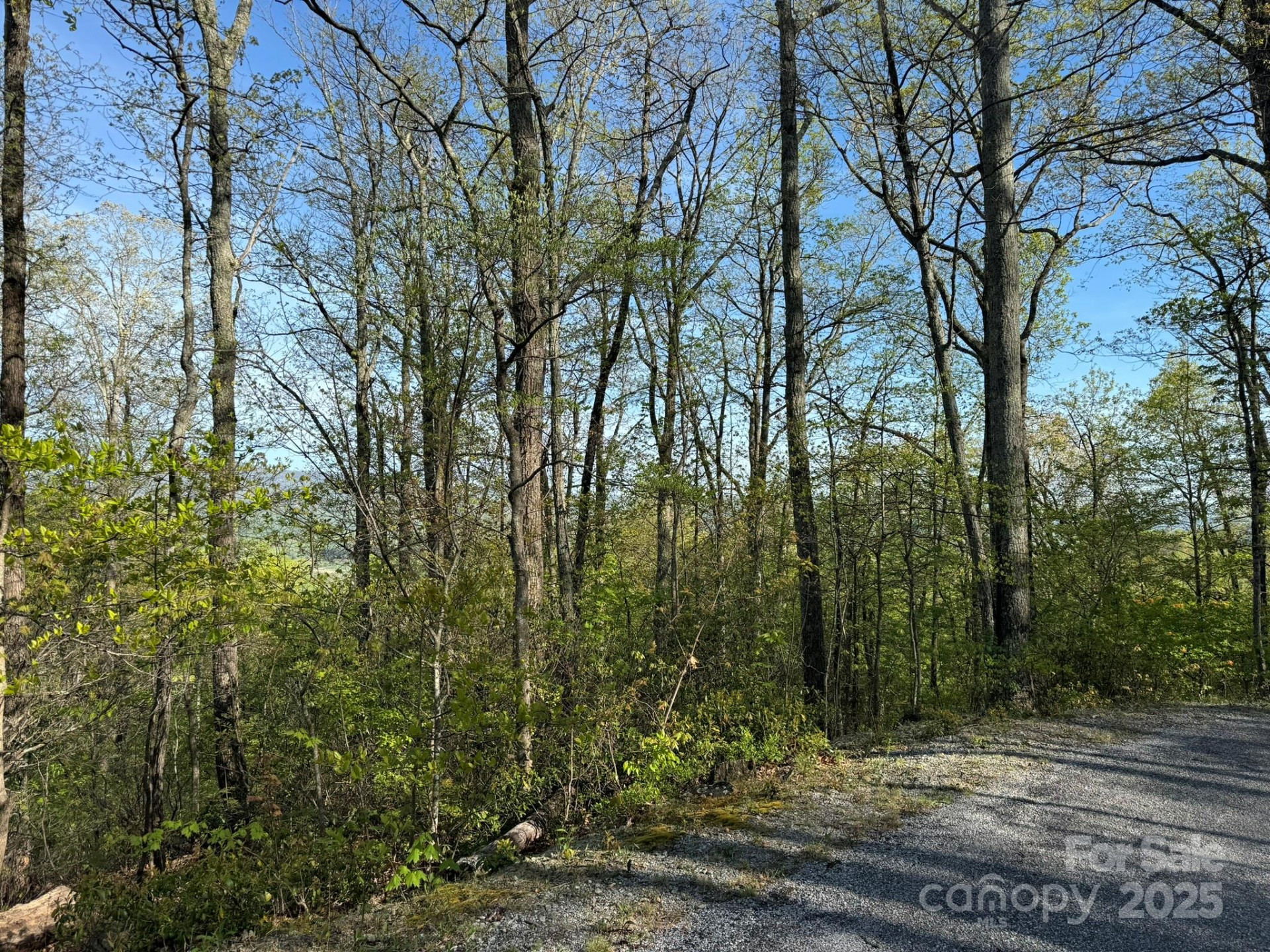 0000 Laurel Creek Drive #32 - Photo 11