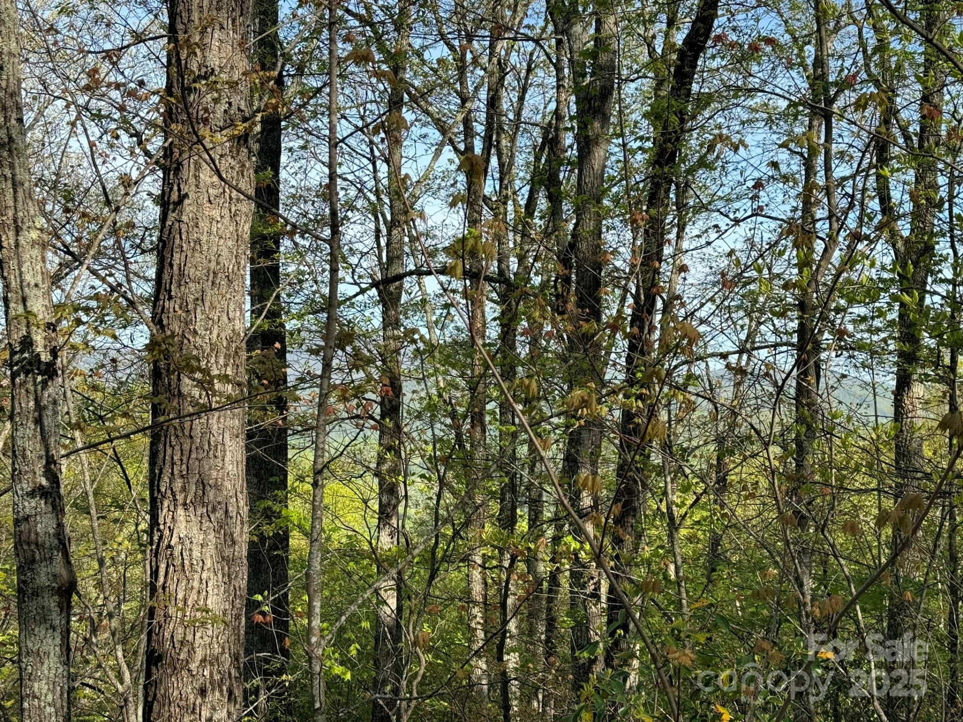 0000 Laurel Creek Drive #32 - Photo 12