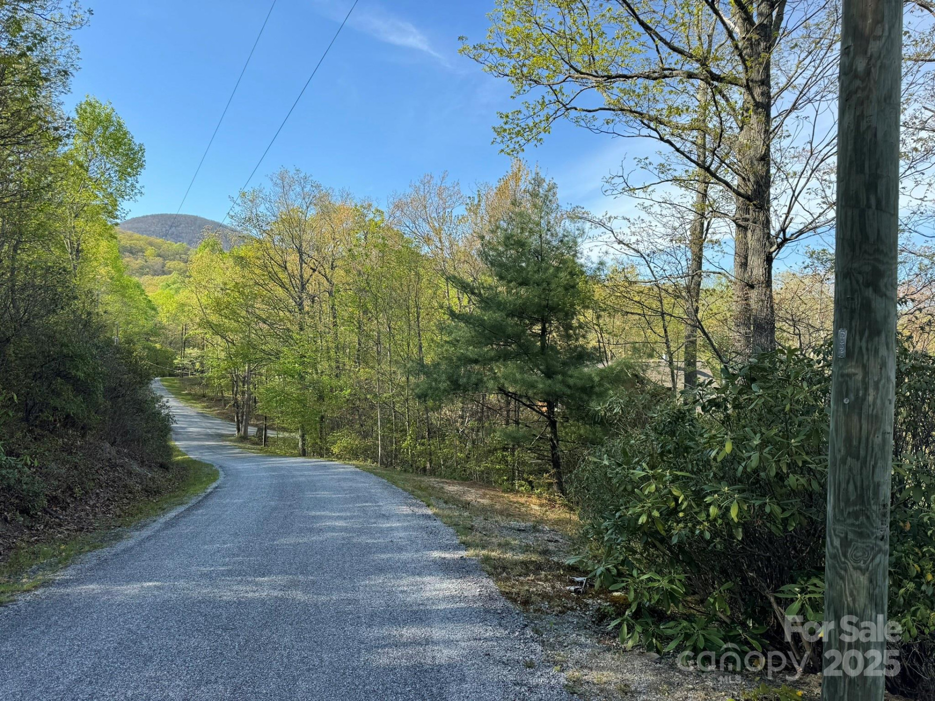 0000 Laurel Creek Drive #32 - Photo 13